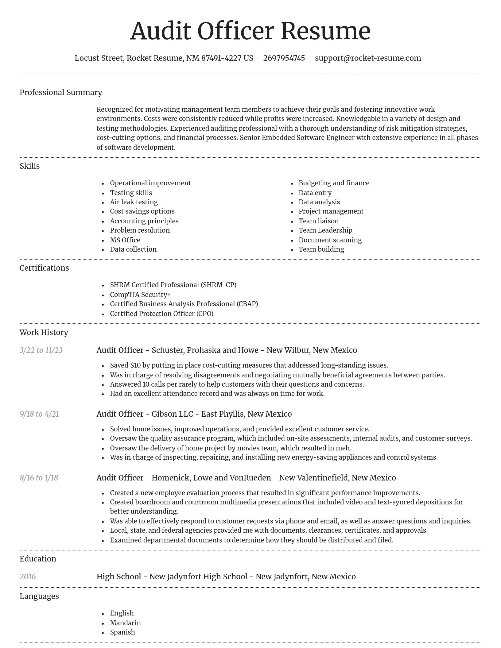 Dignified resume template