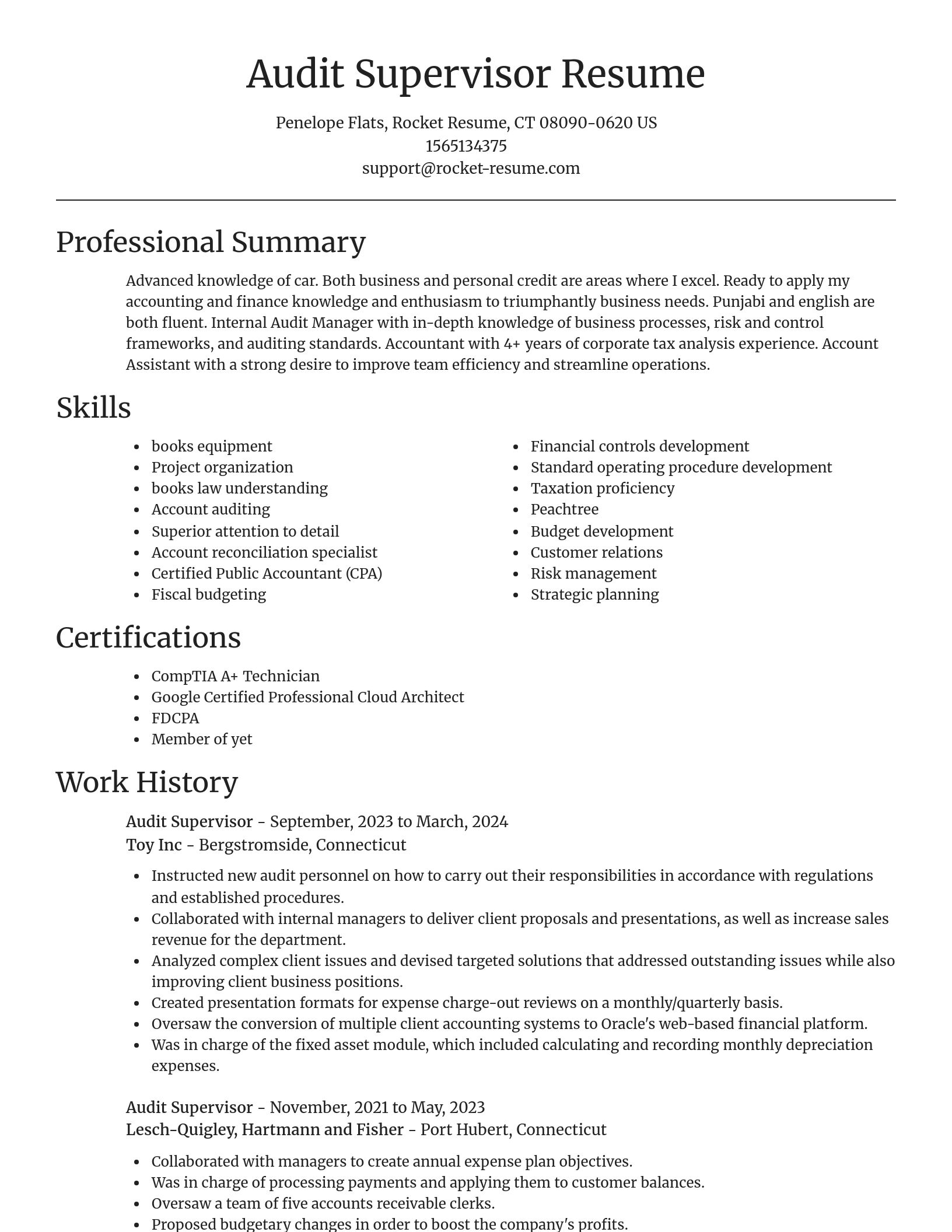 Focal Point resume template