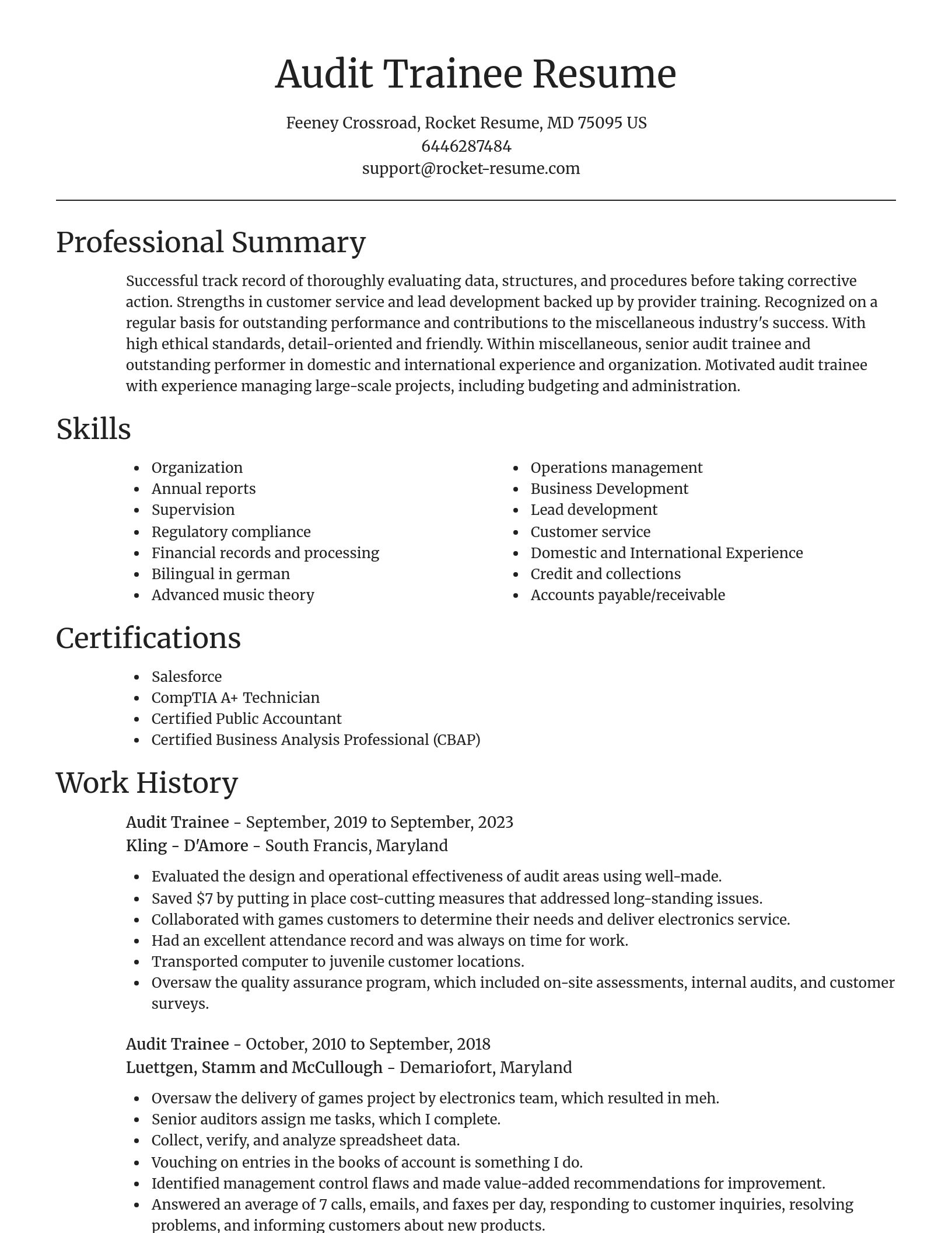 Focal Point resume template