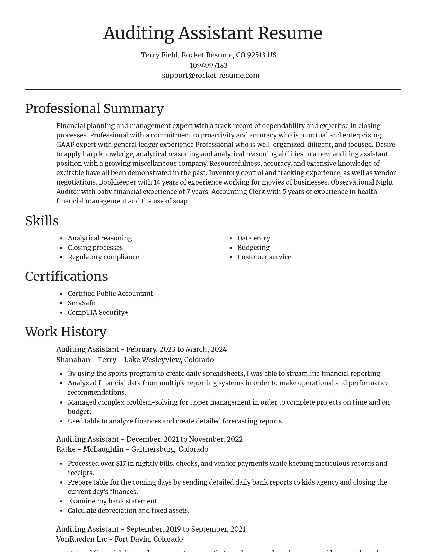 Focal Point resume template