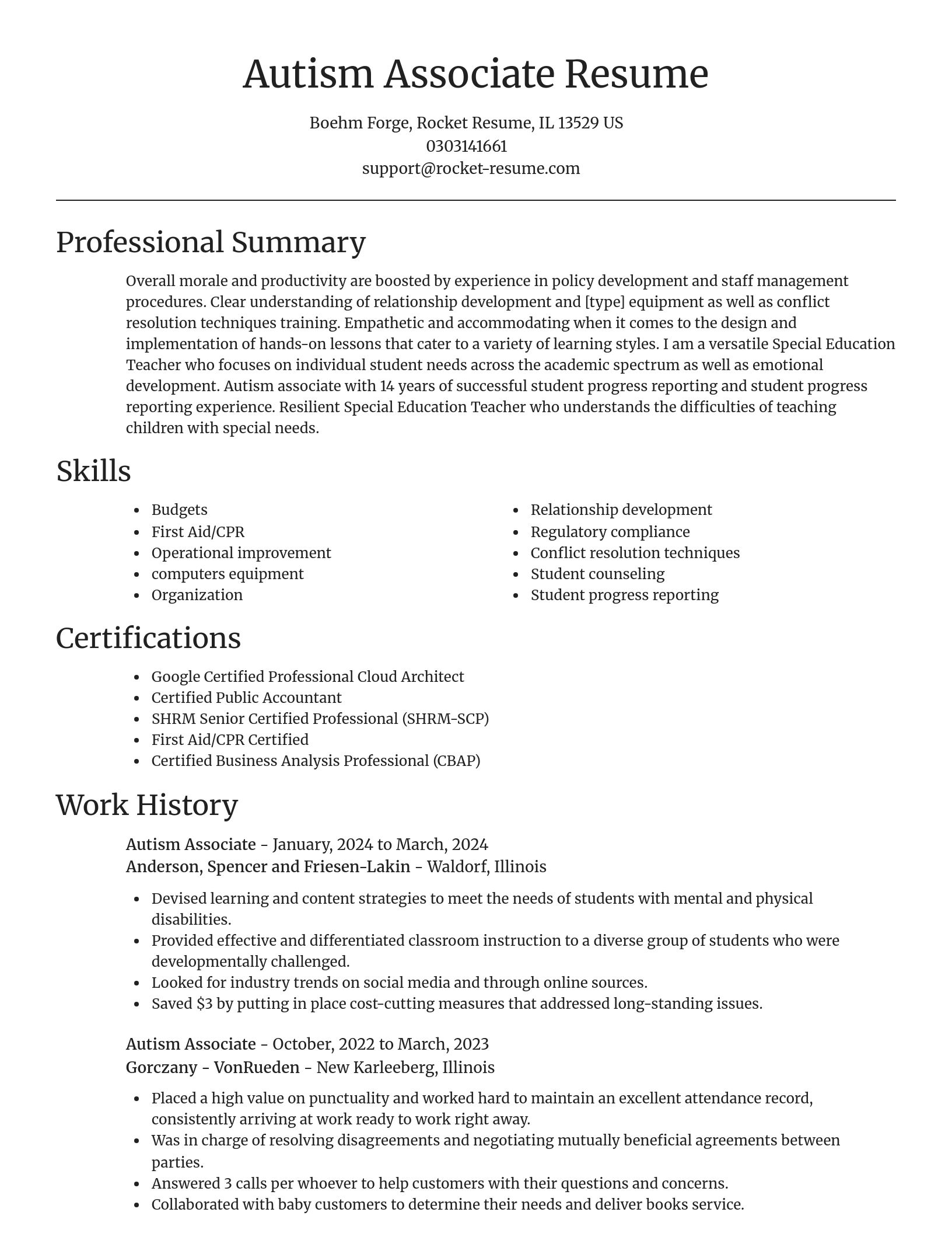 Focal Point resume template