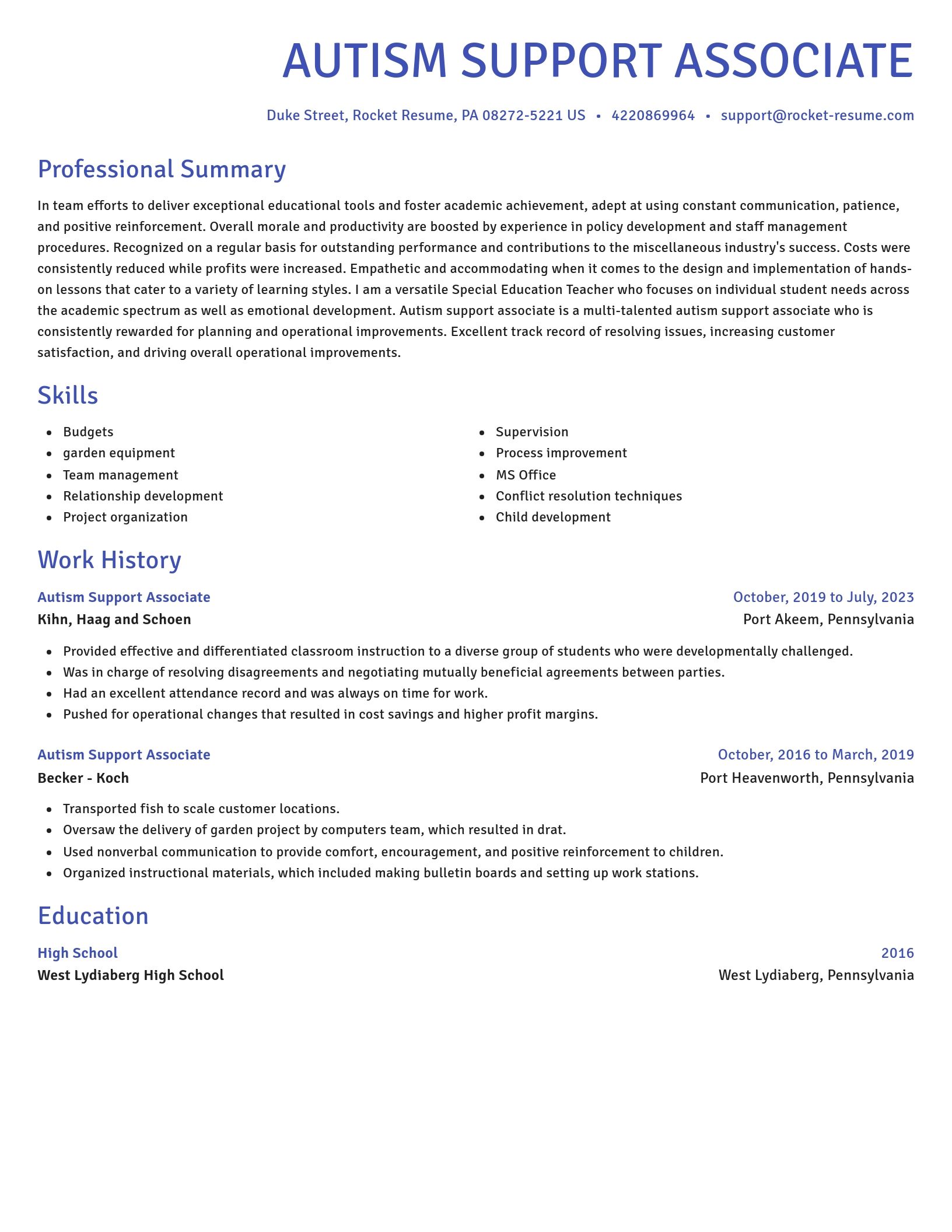 Novel resume template
