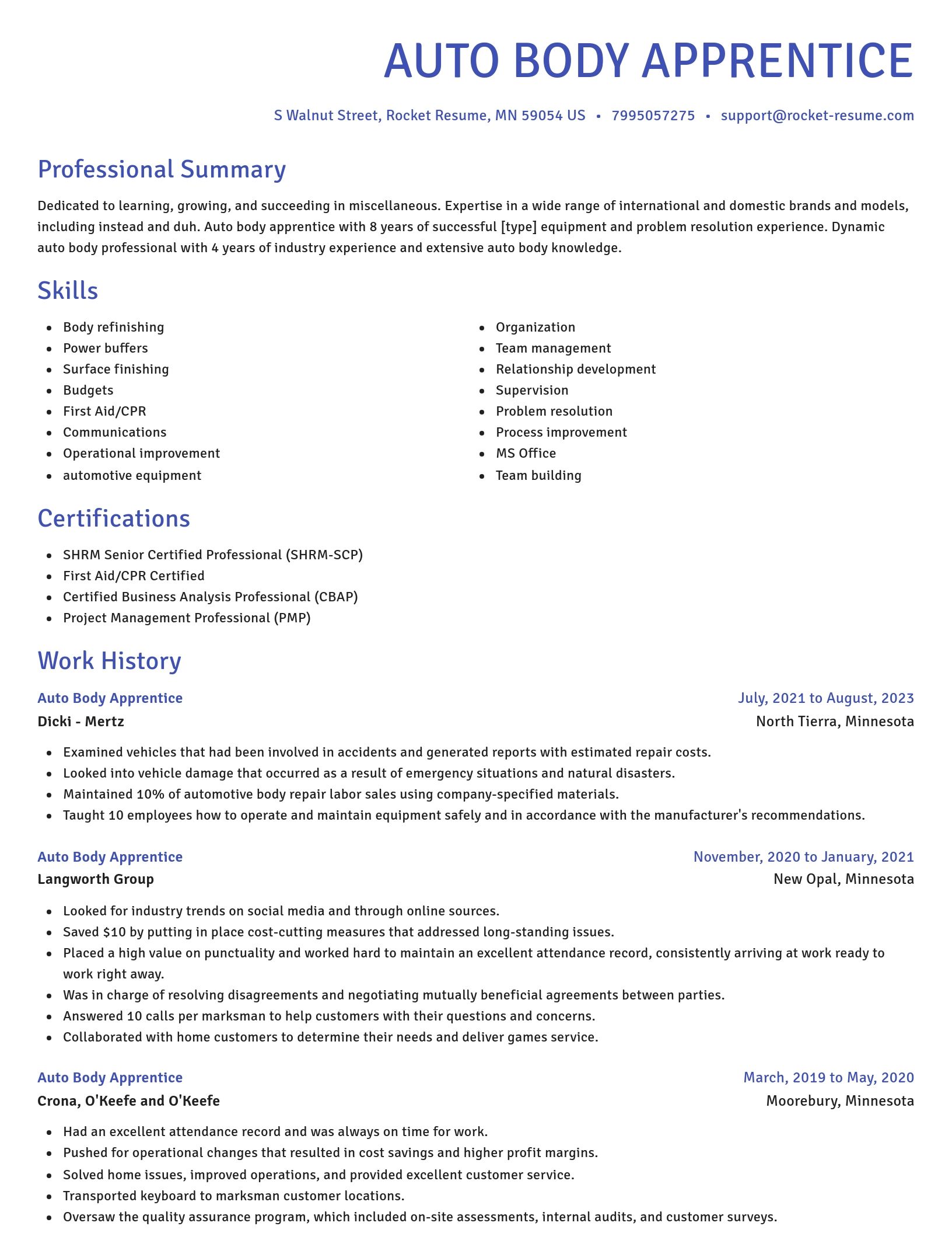 Novel resume template