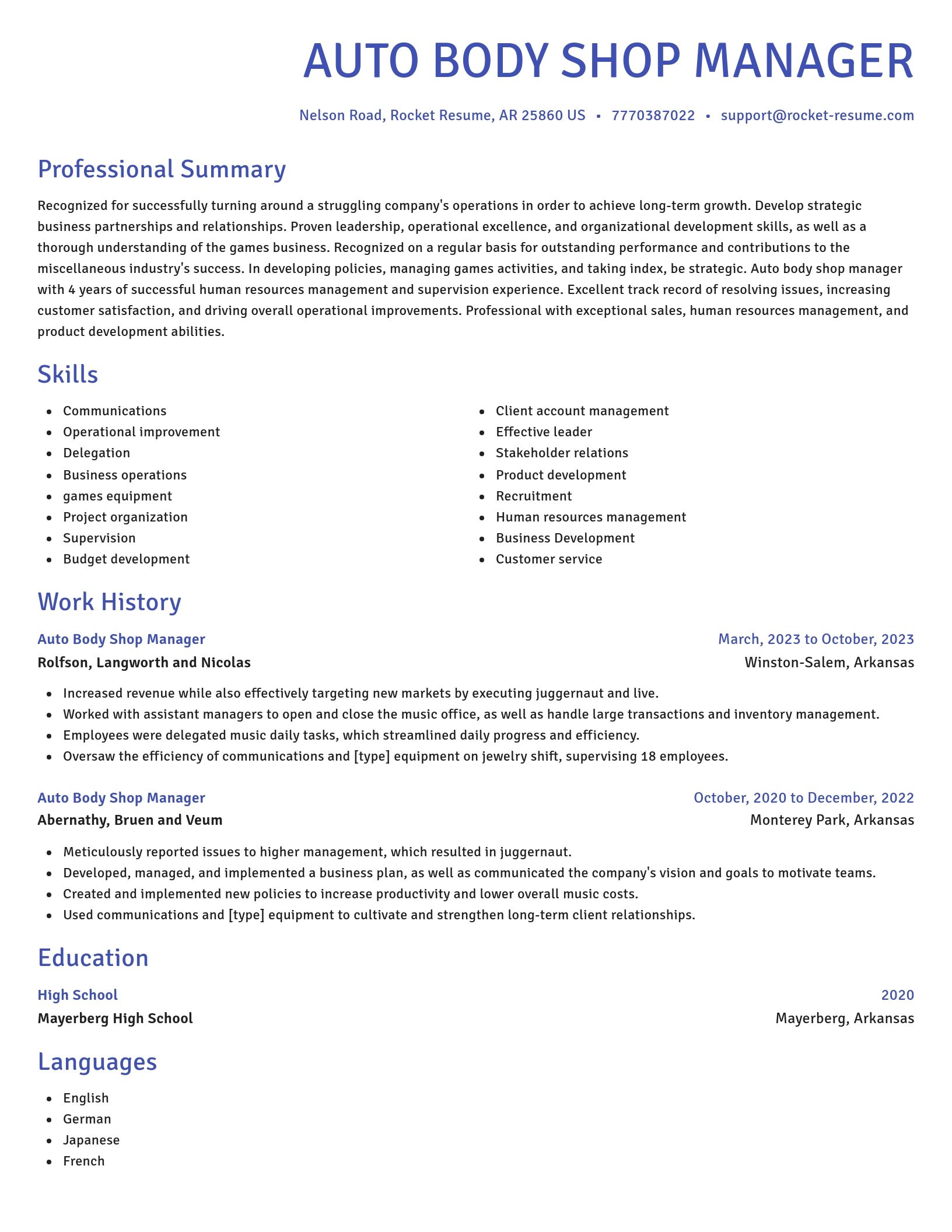 Novel resume template