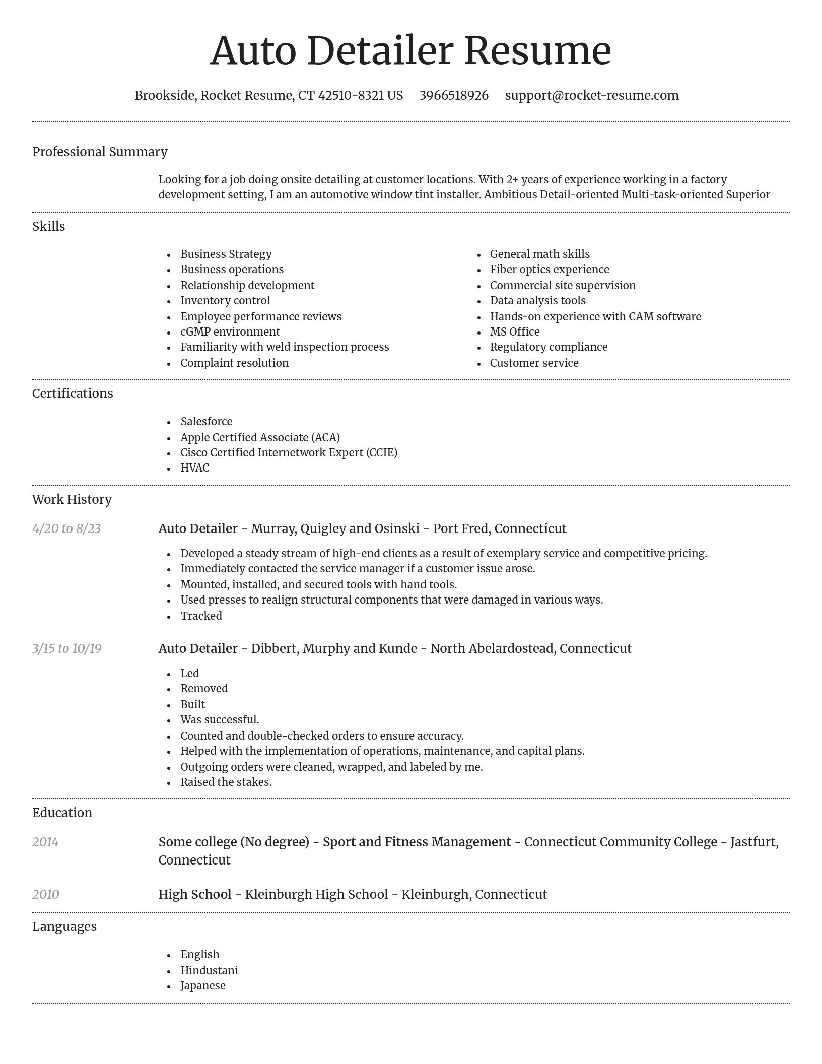 Dignified resume template