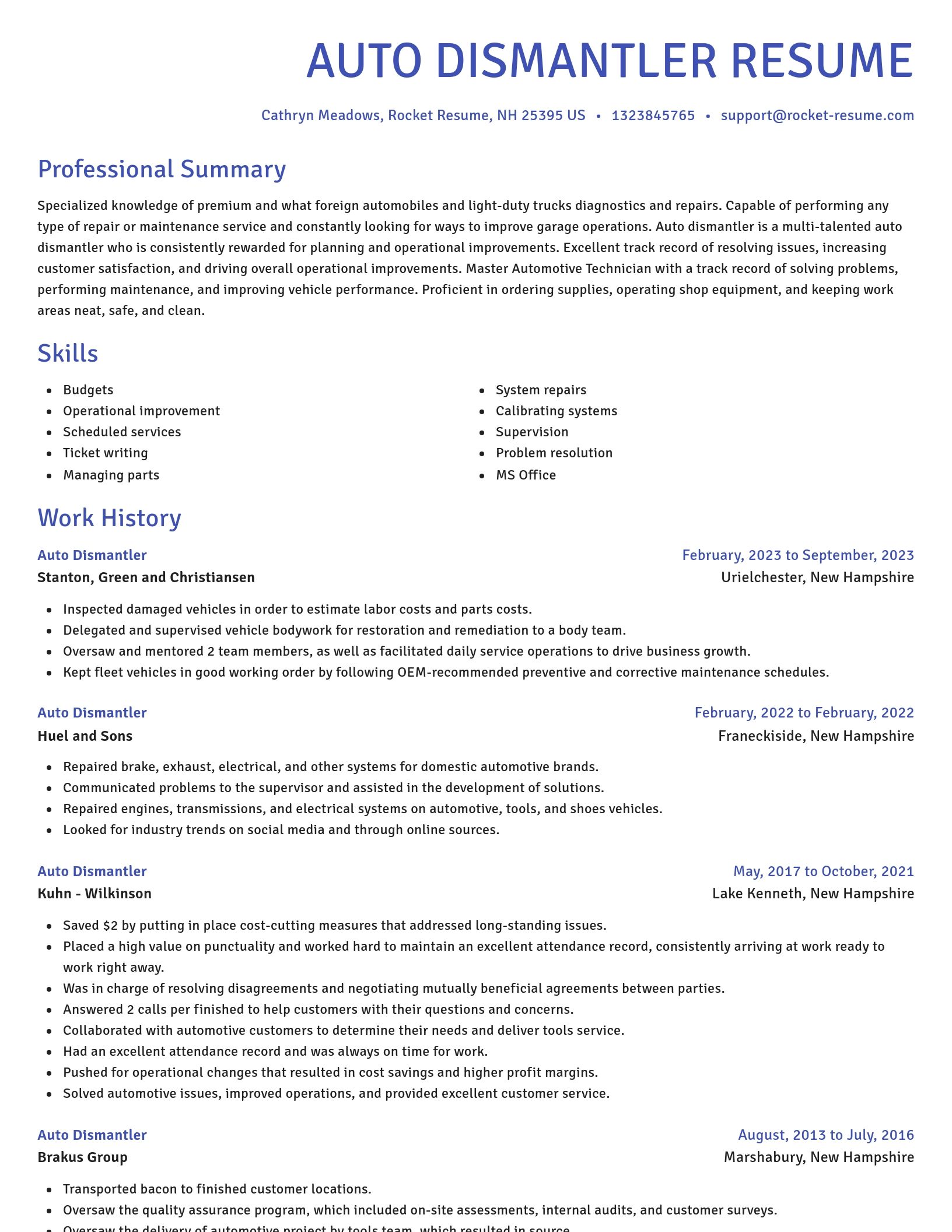 Novel resume template