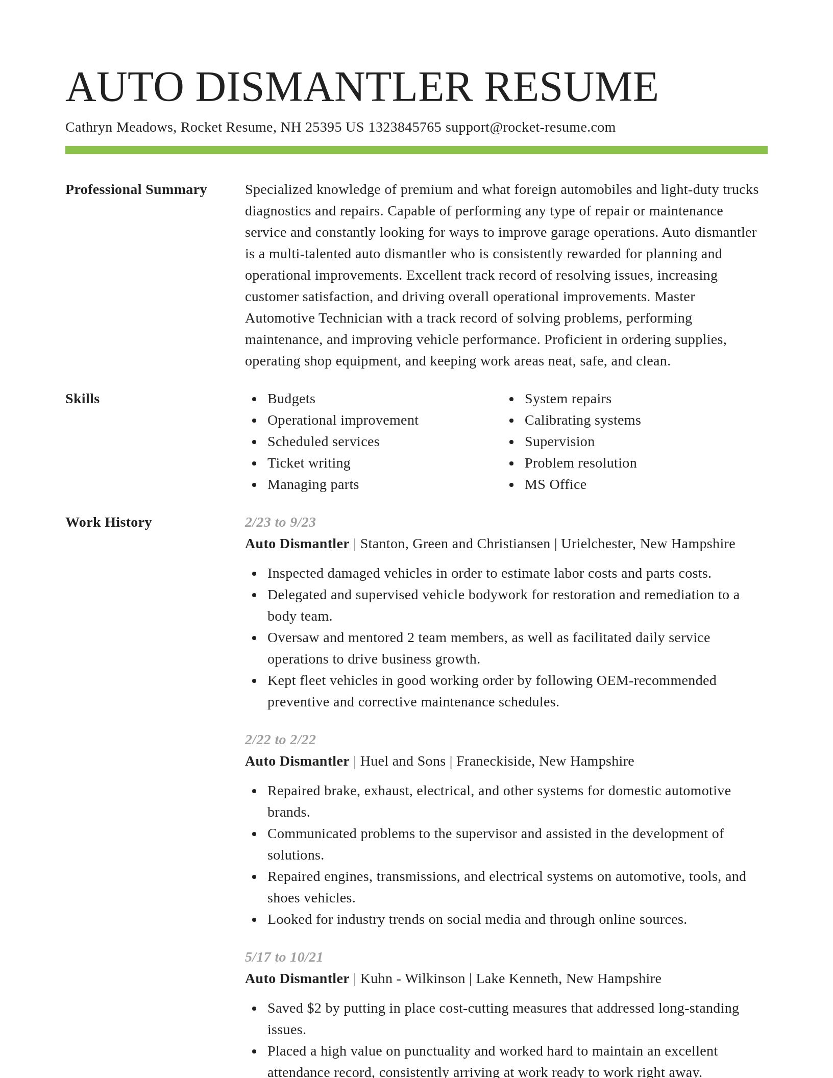 Smart resume template