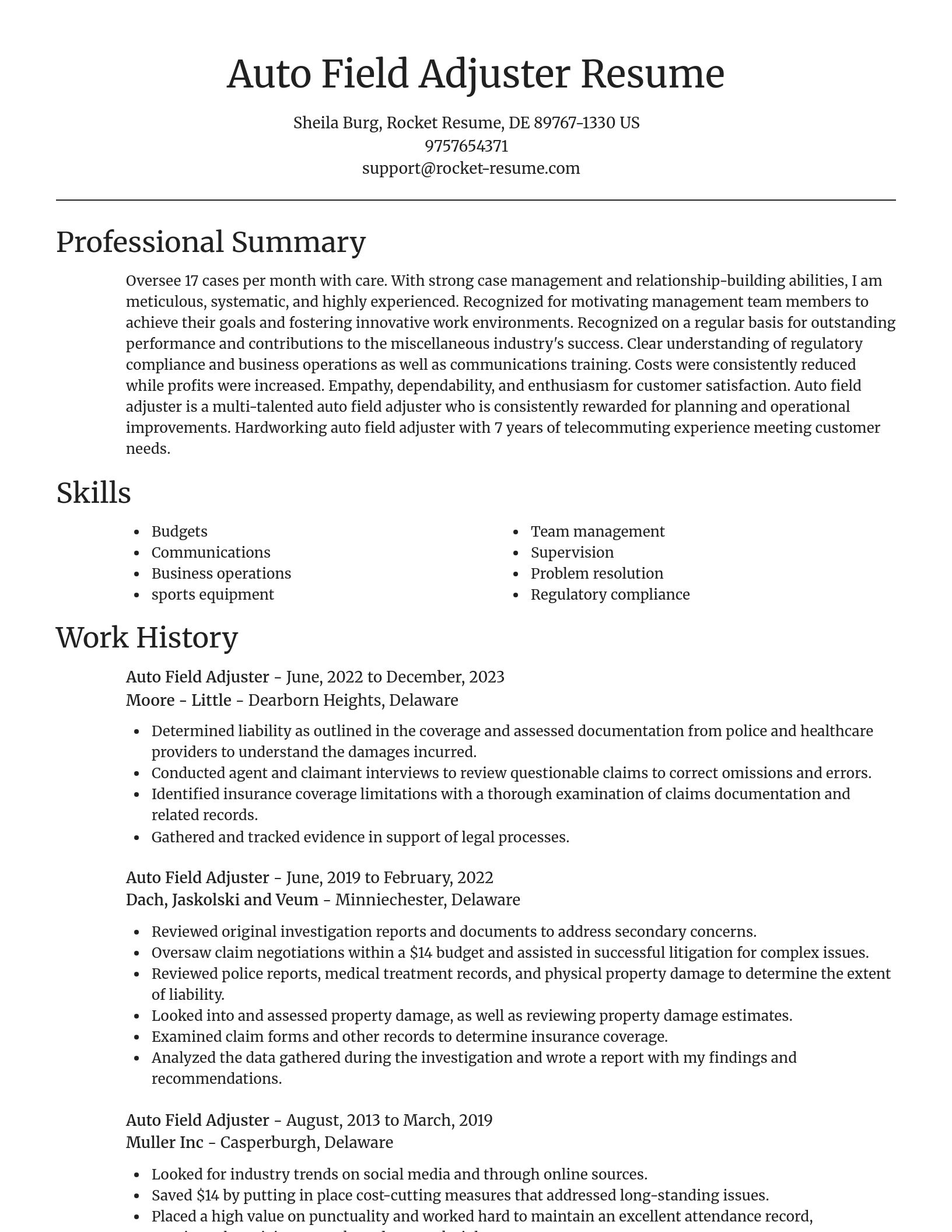 Focal Point resume template