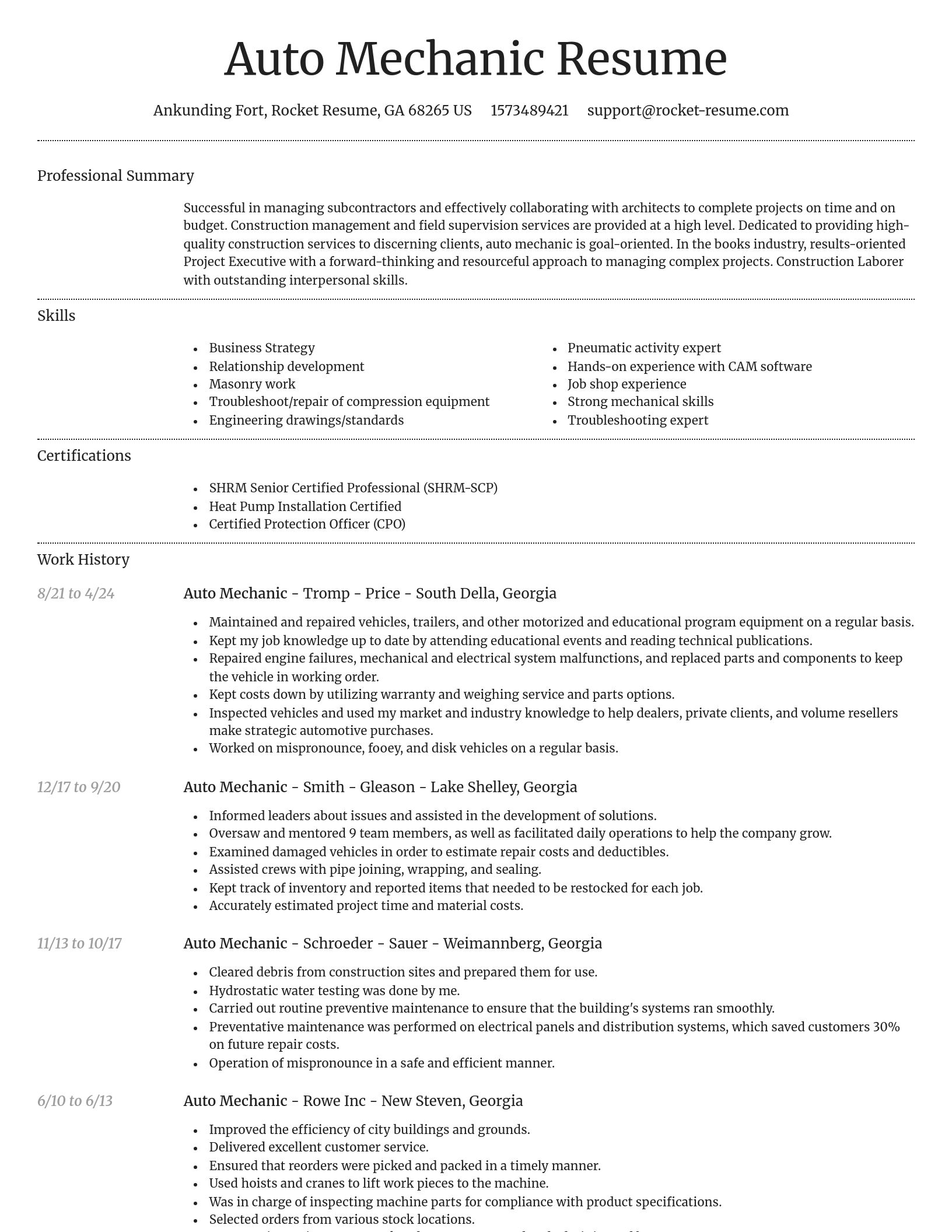 Dignified resume template