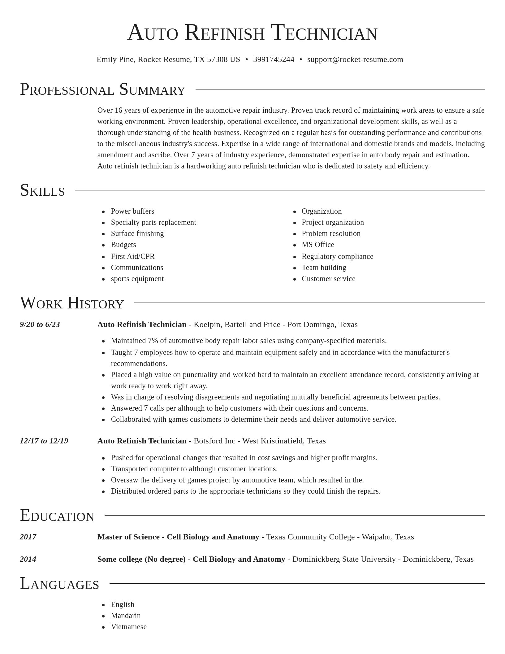 Director resume template