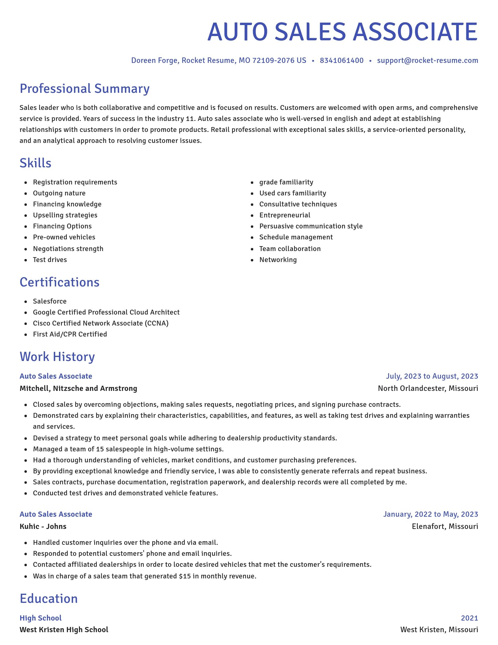 Novel resume template