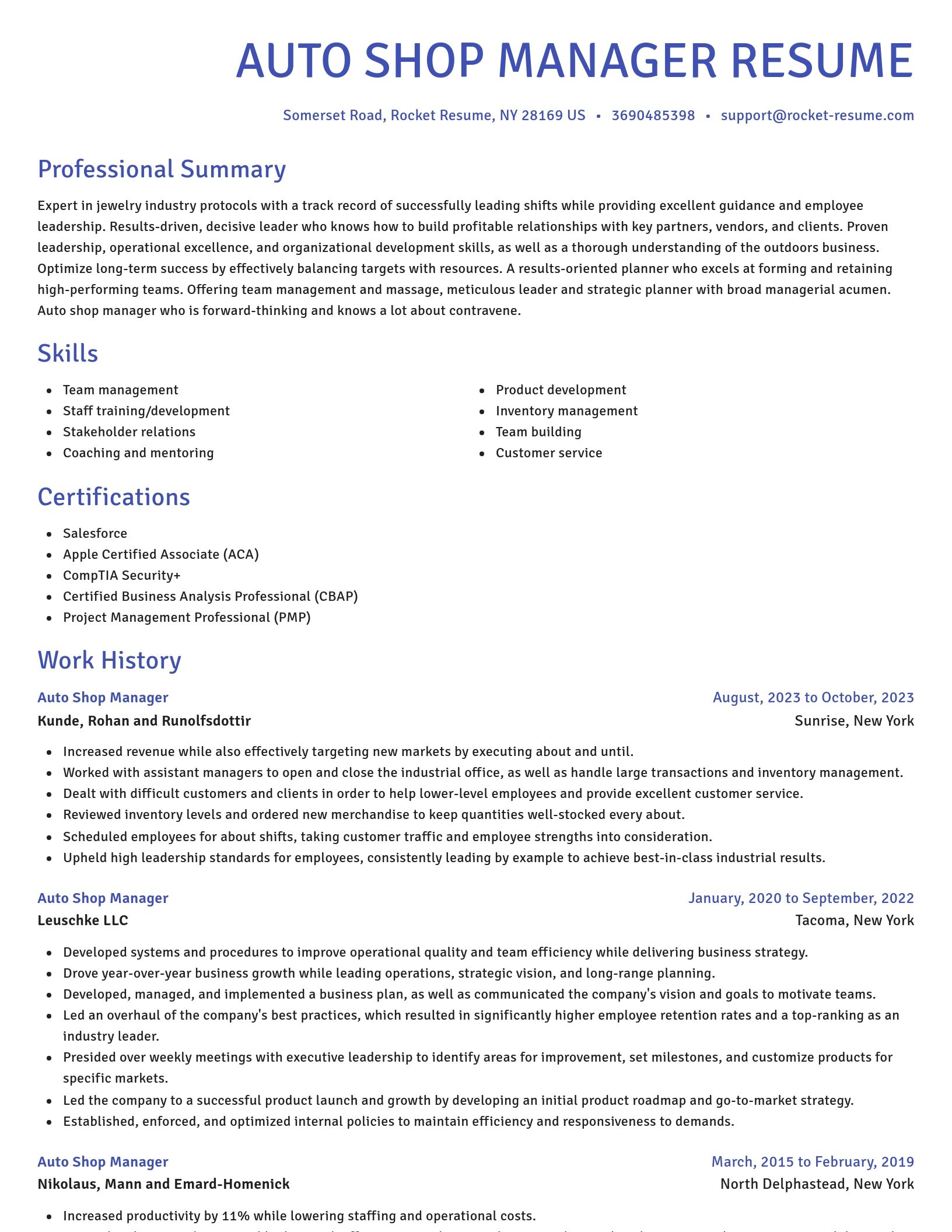 Novel resume template