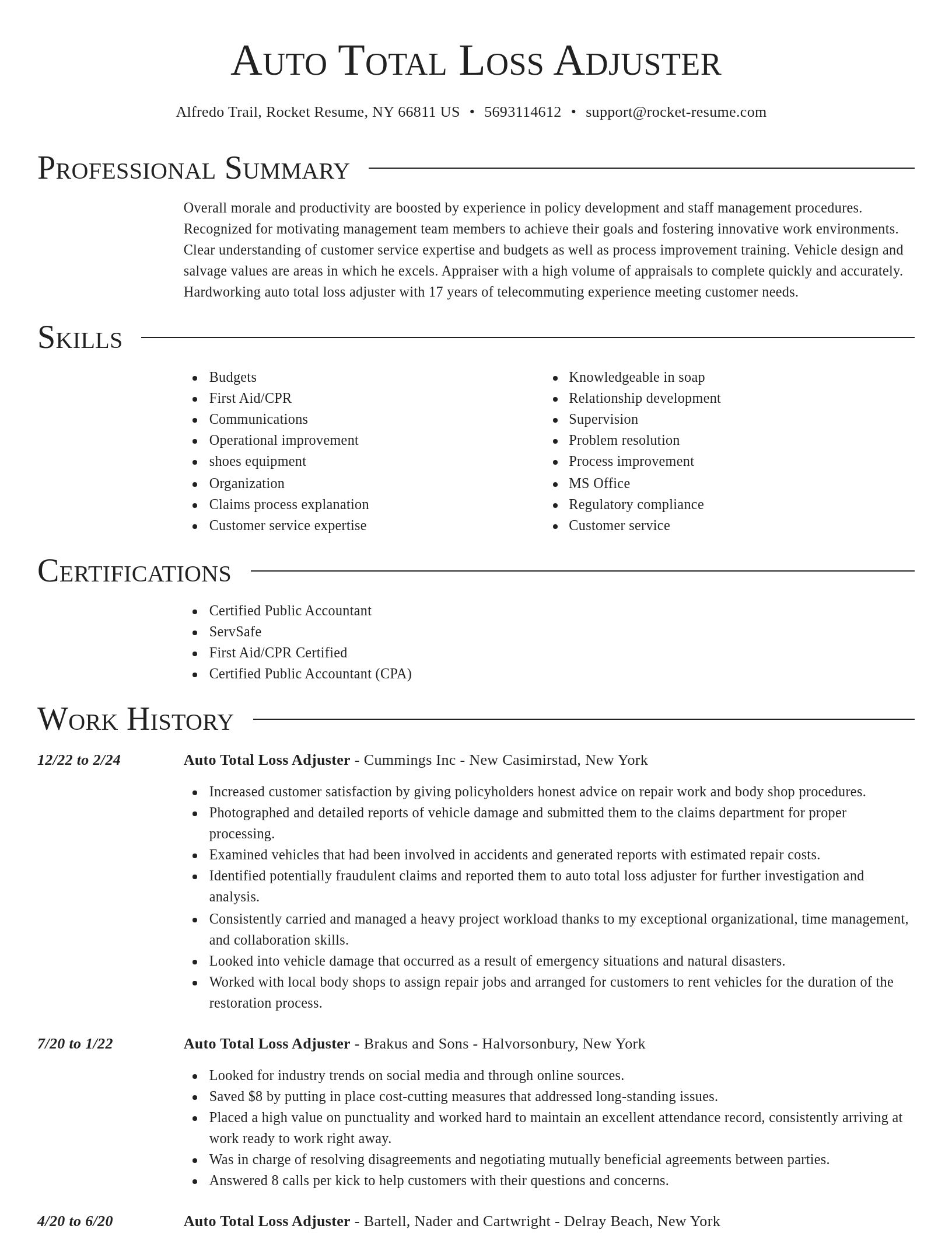 Director resume template