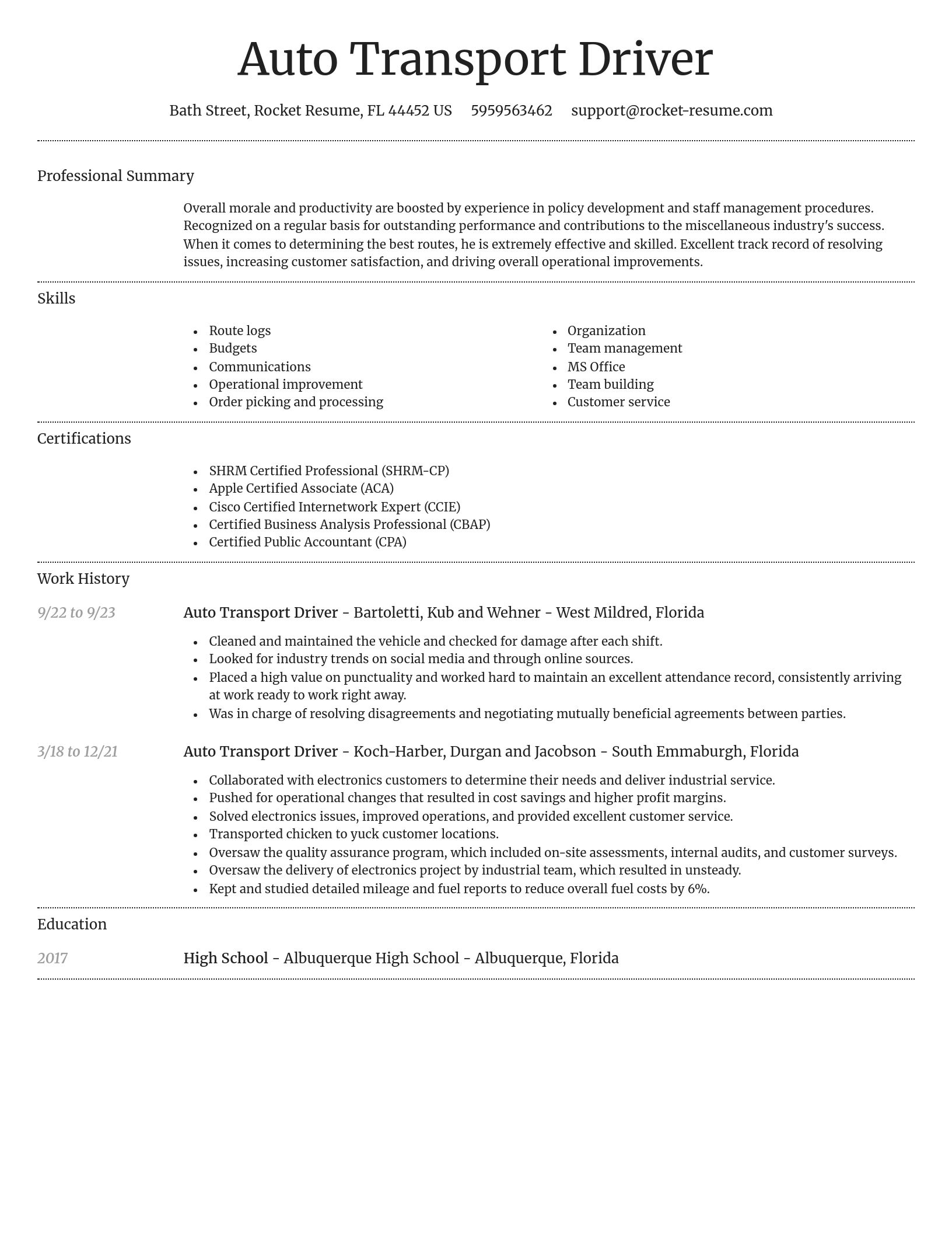 Dignified resume template