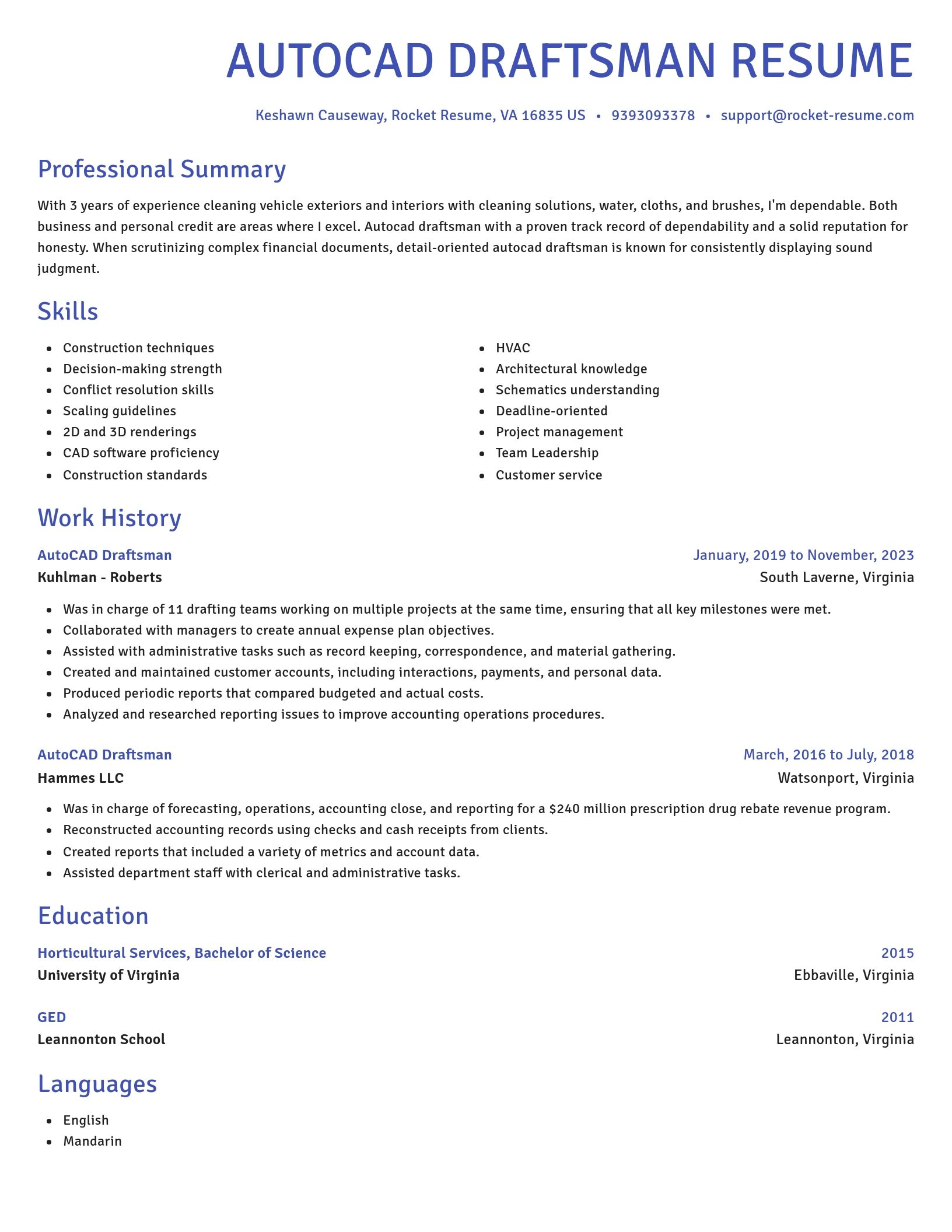 Novel resume template