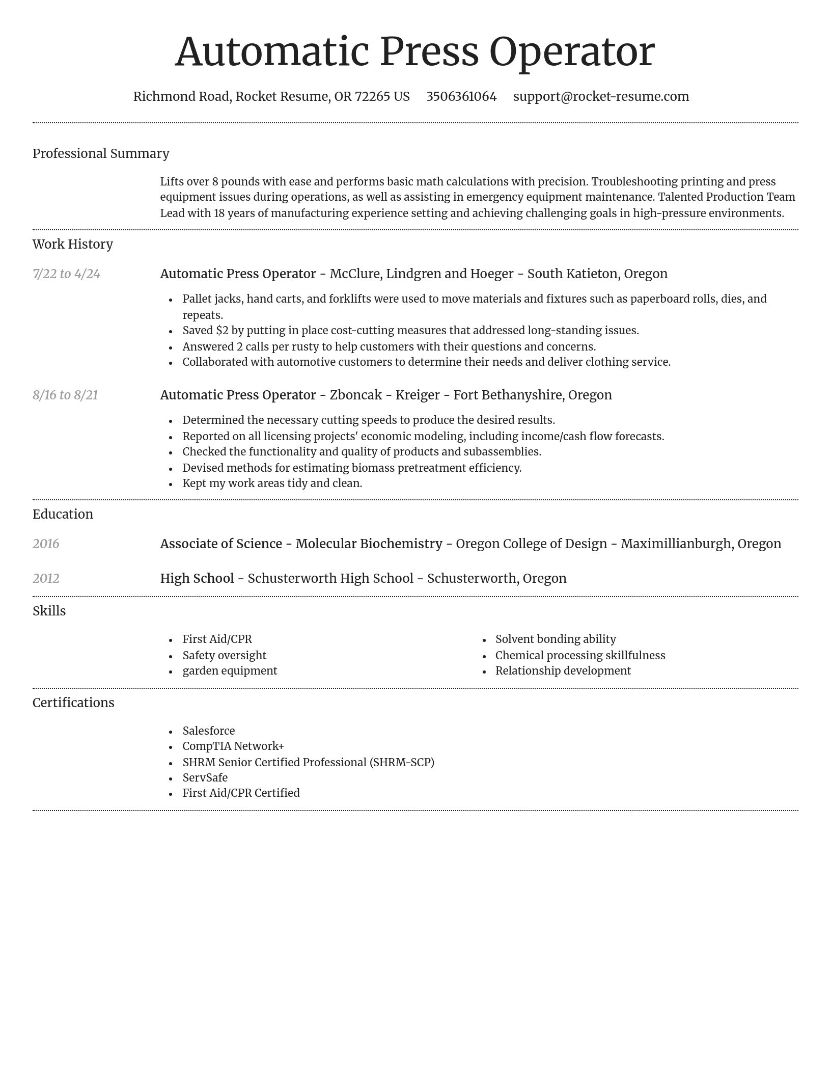 Dignified resume template