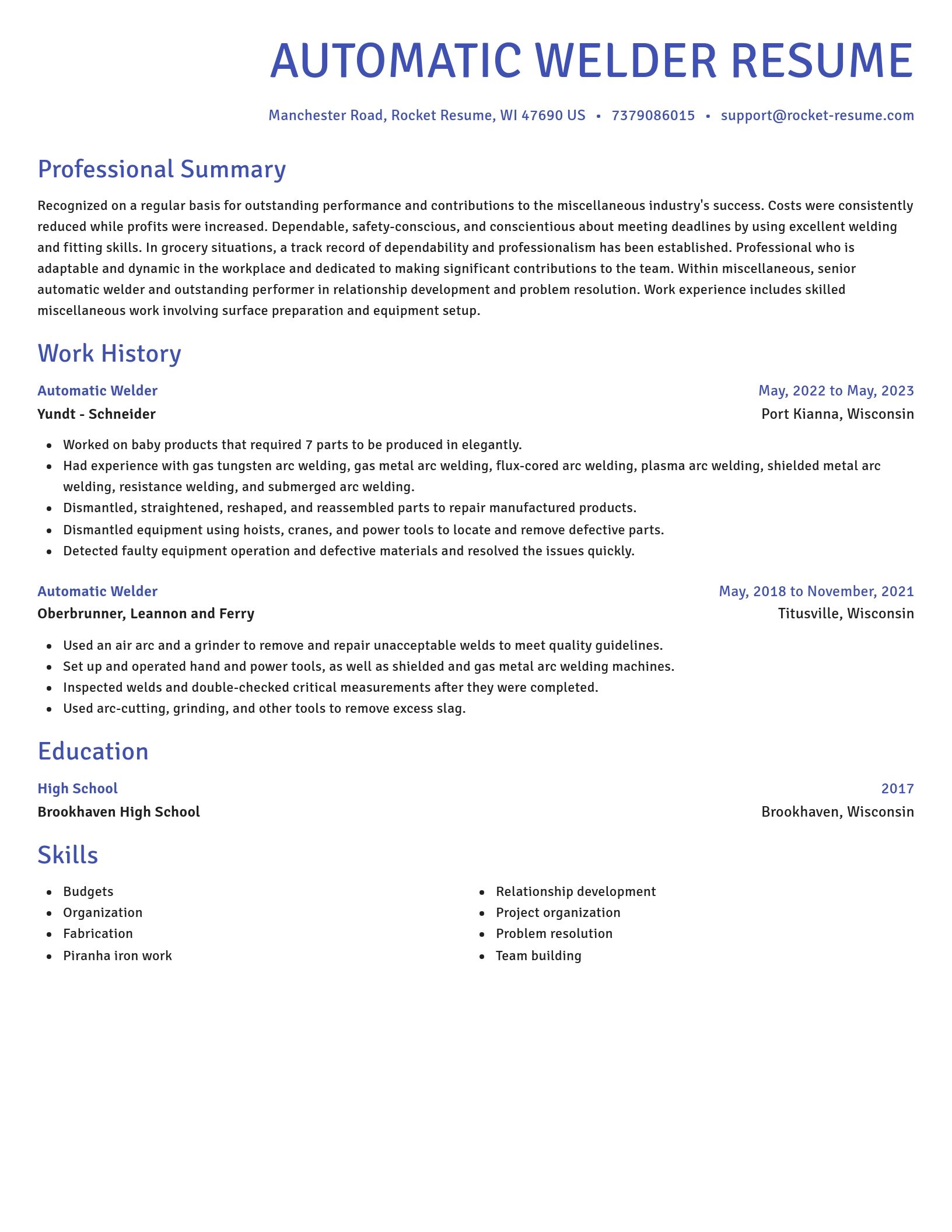 Novel resume template