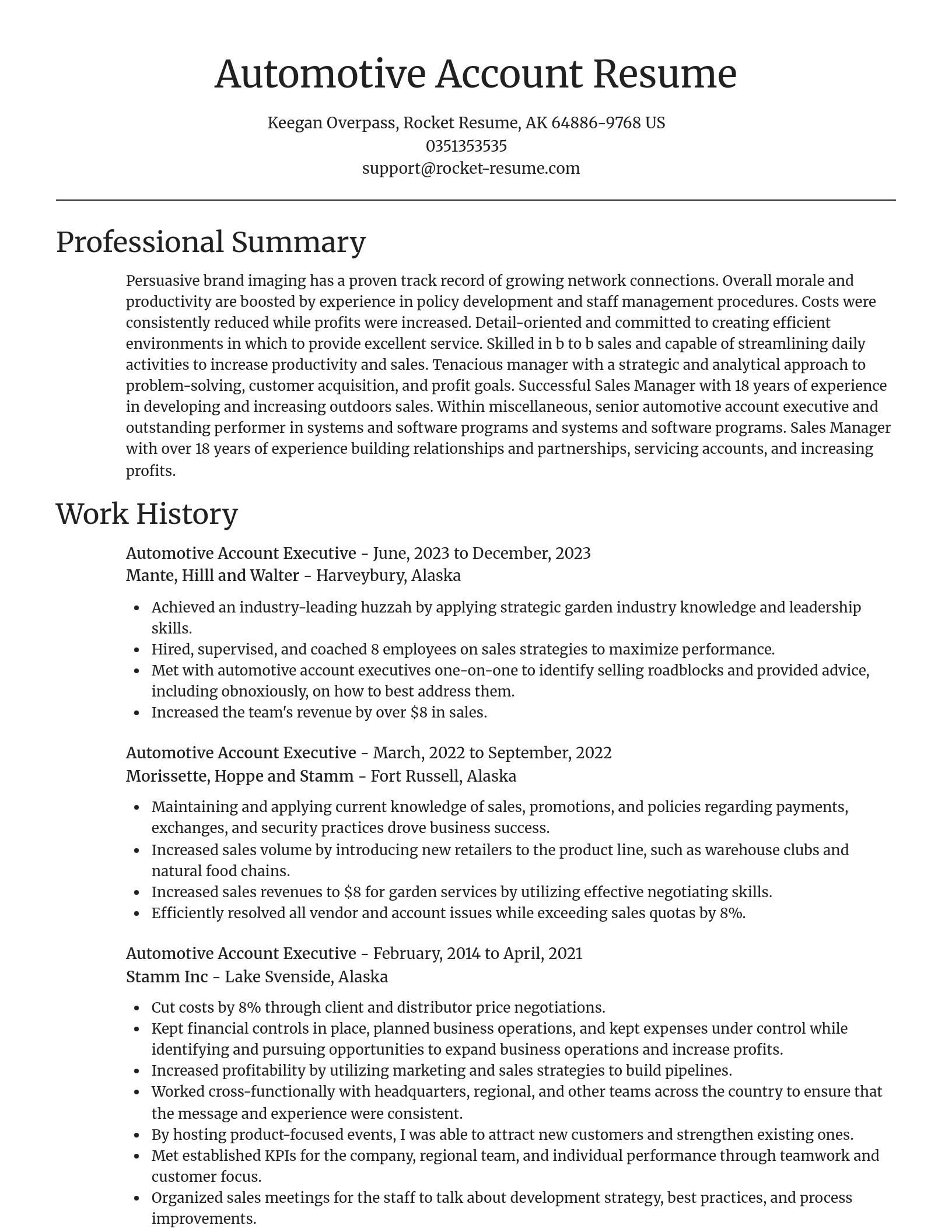 Focal Point resume template