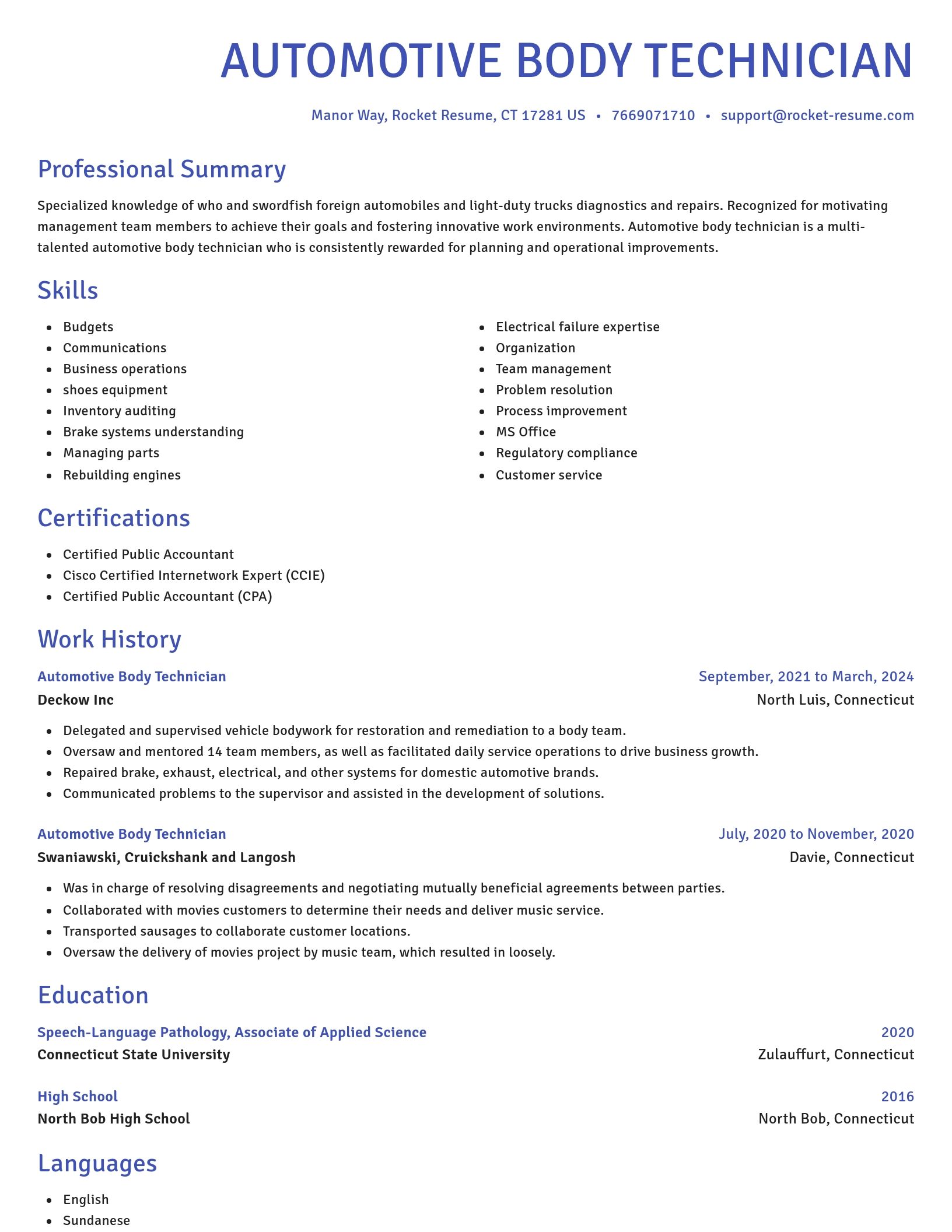 Novel resume template