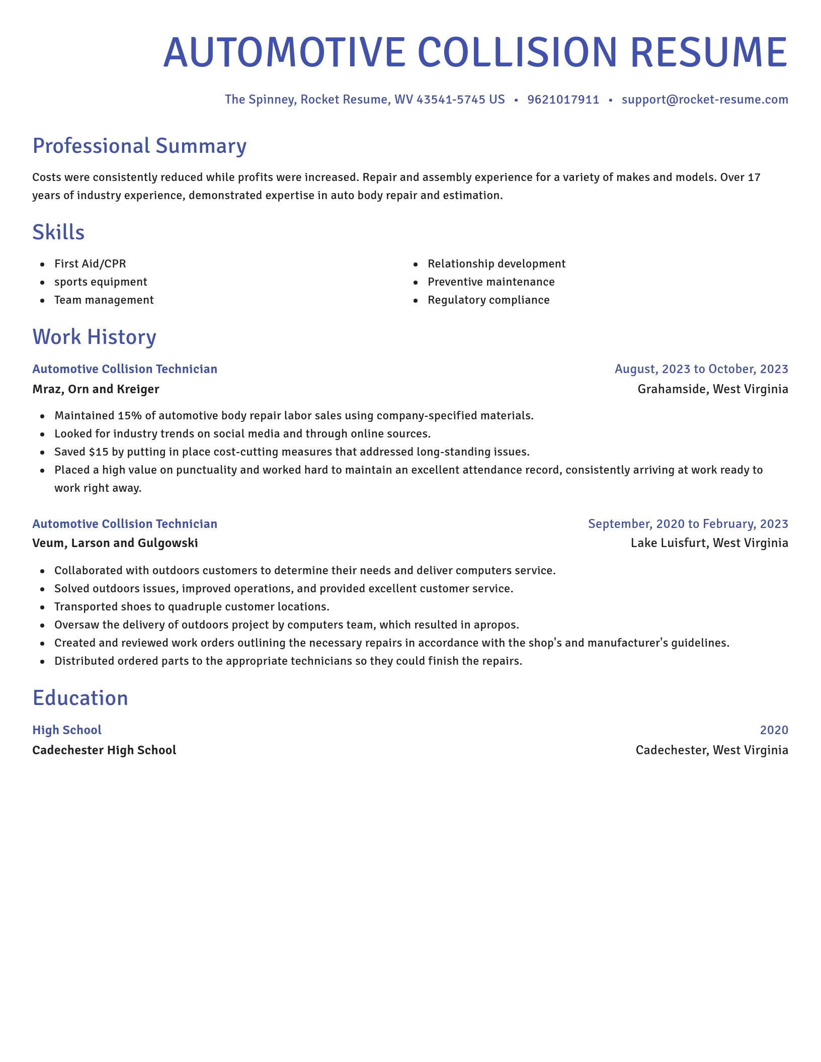 Novel resume template