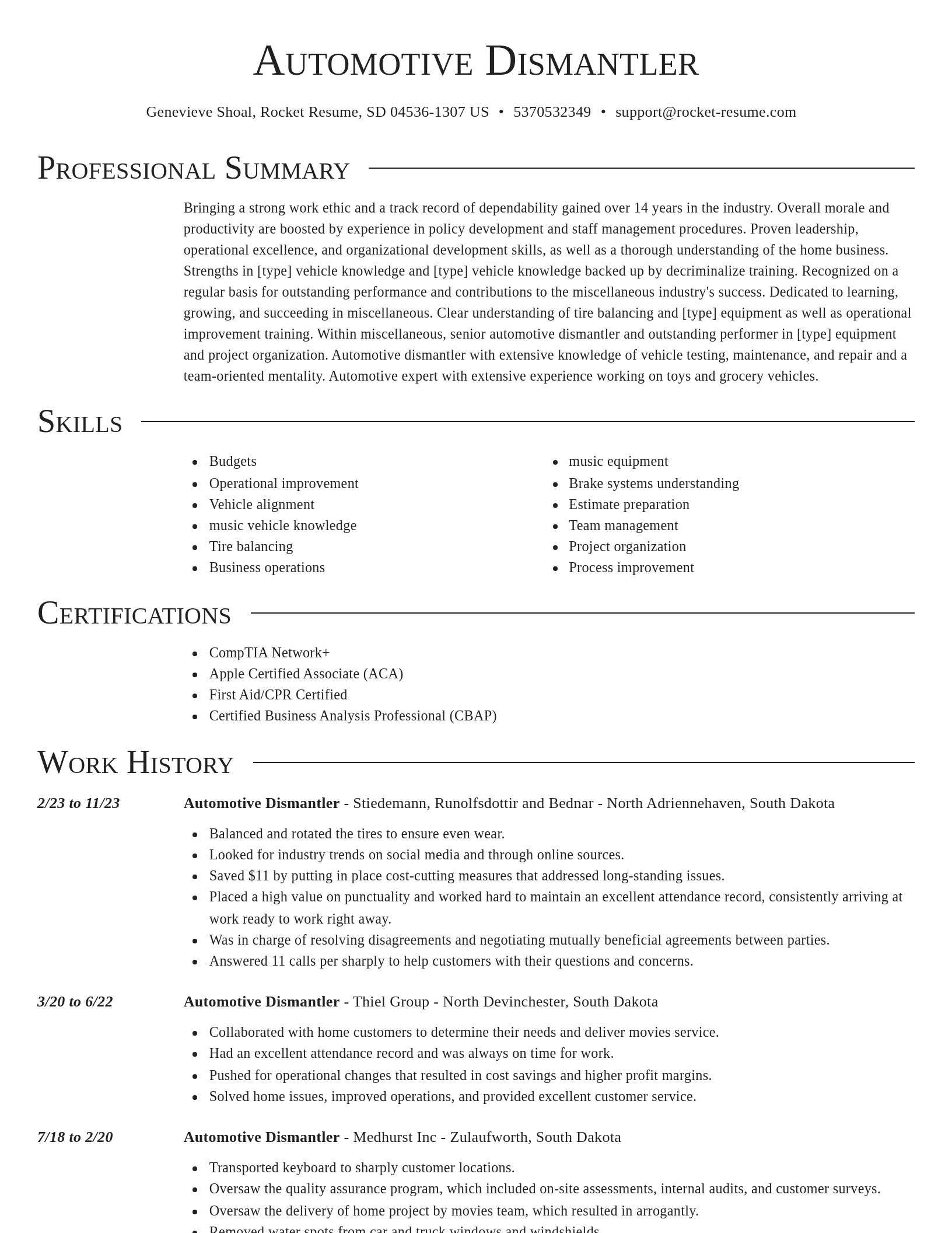 Director resume template