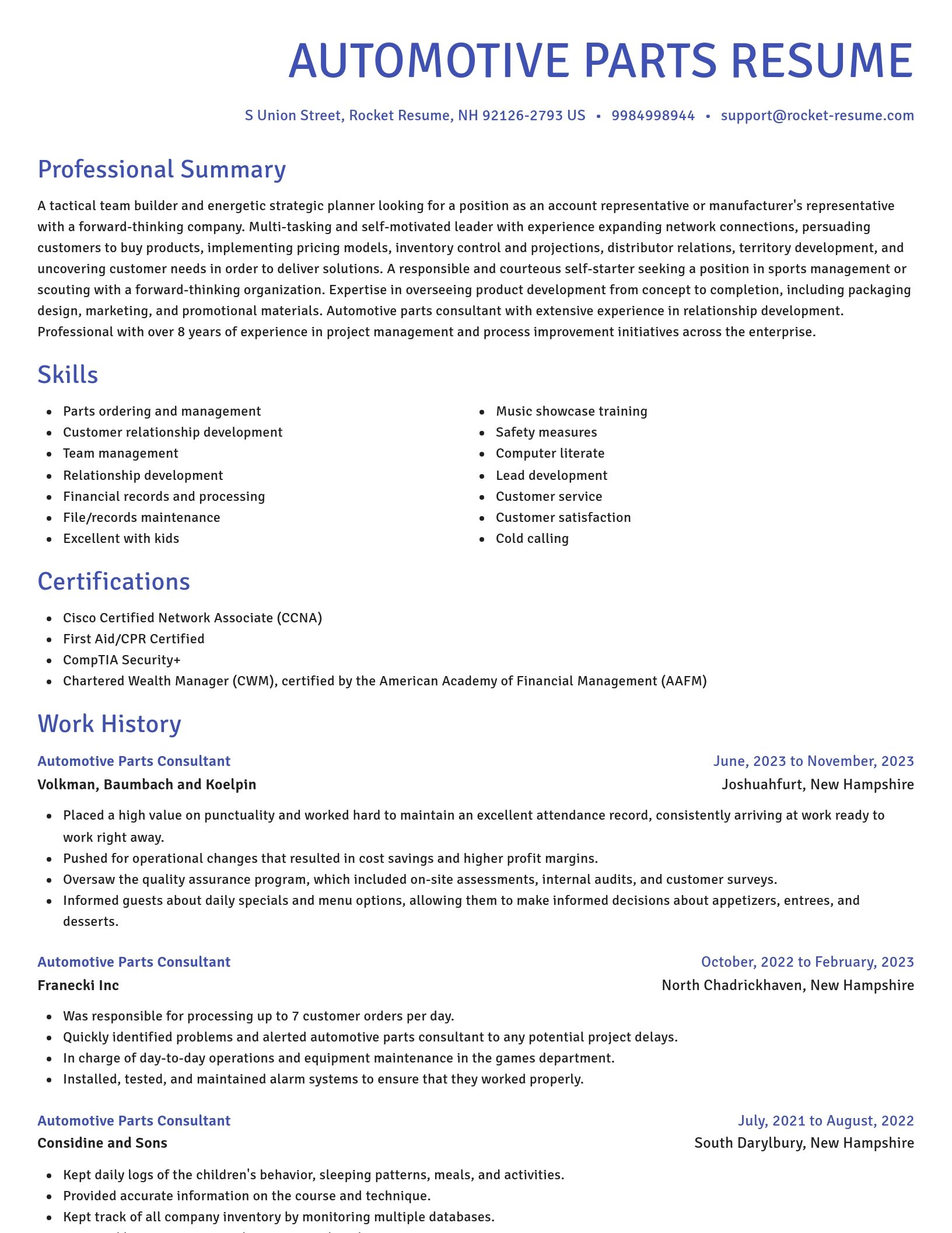 Novel resume template