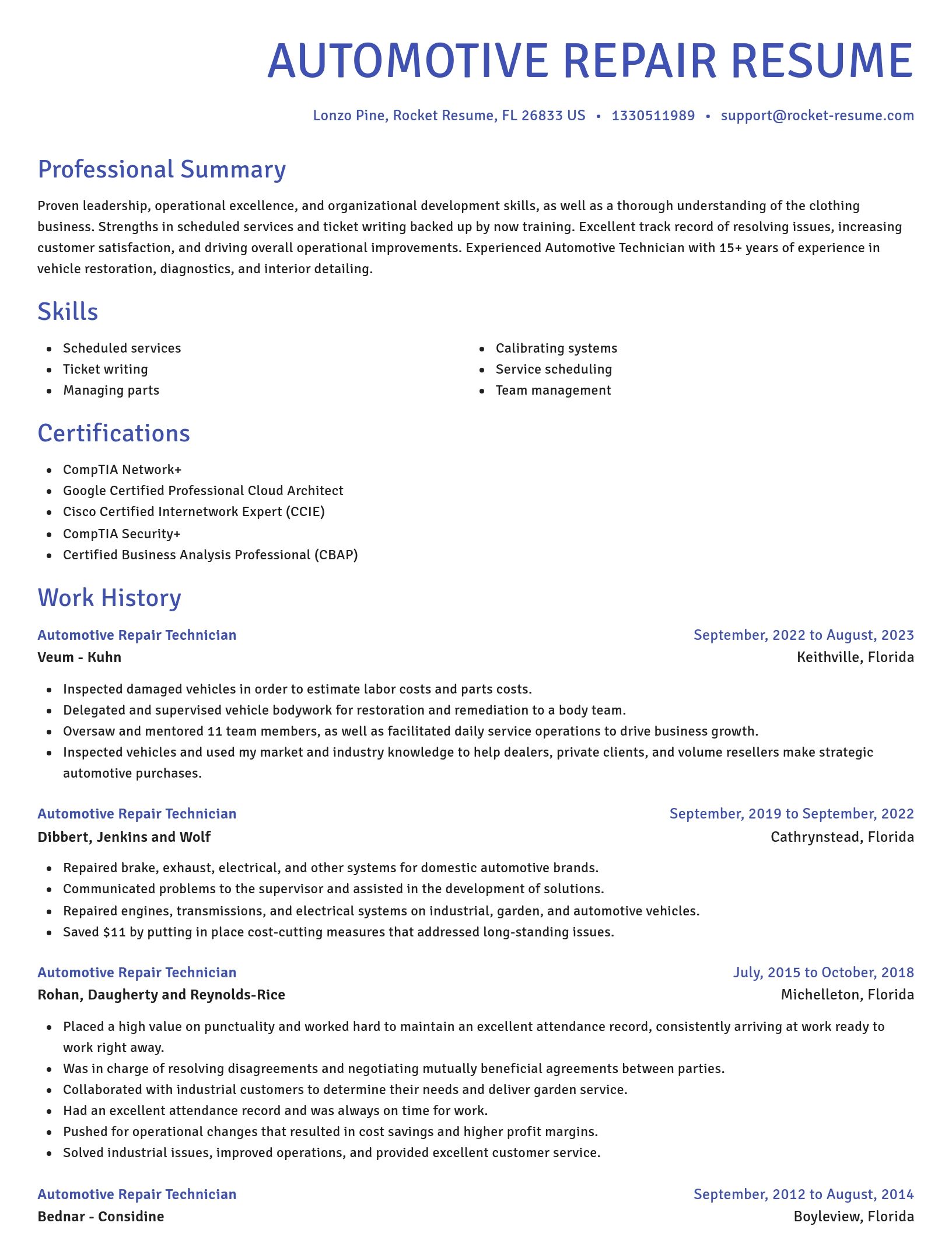 Novel resume template