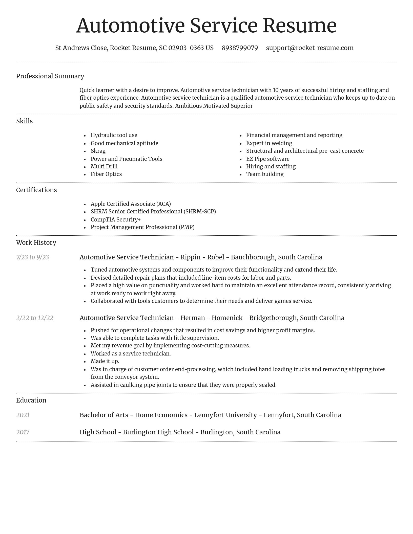 Dignified resume template