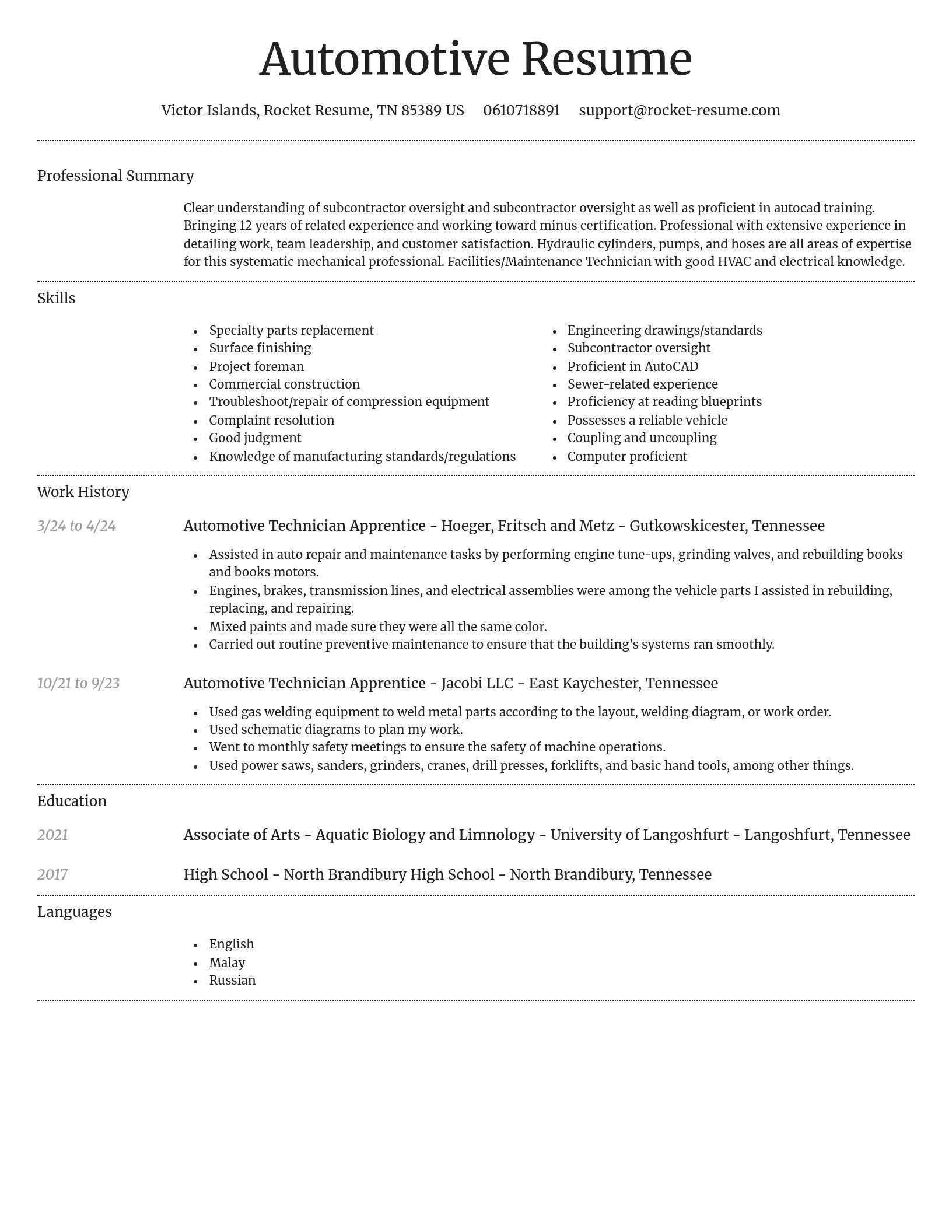Dignified resume template