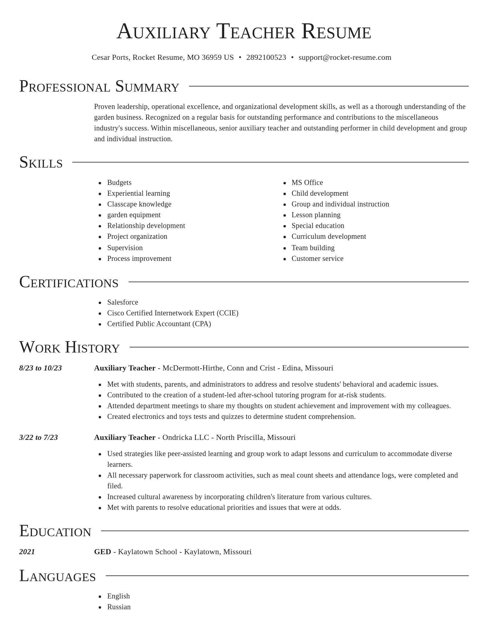 Director resume template