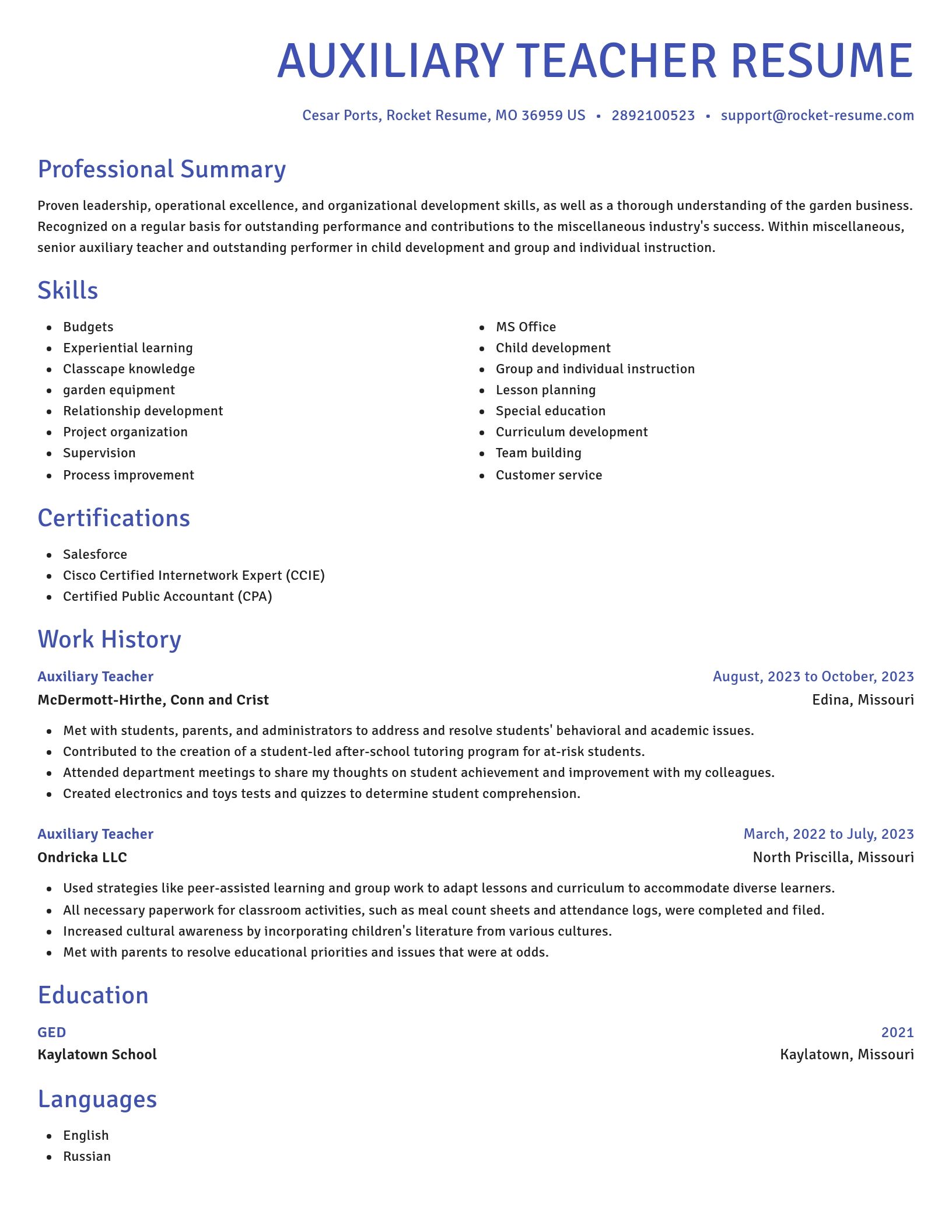 Novel resume template