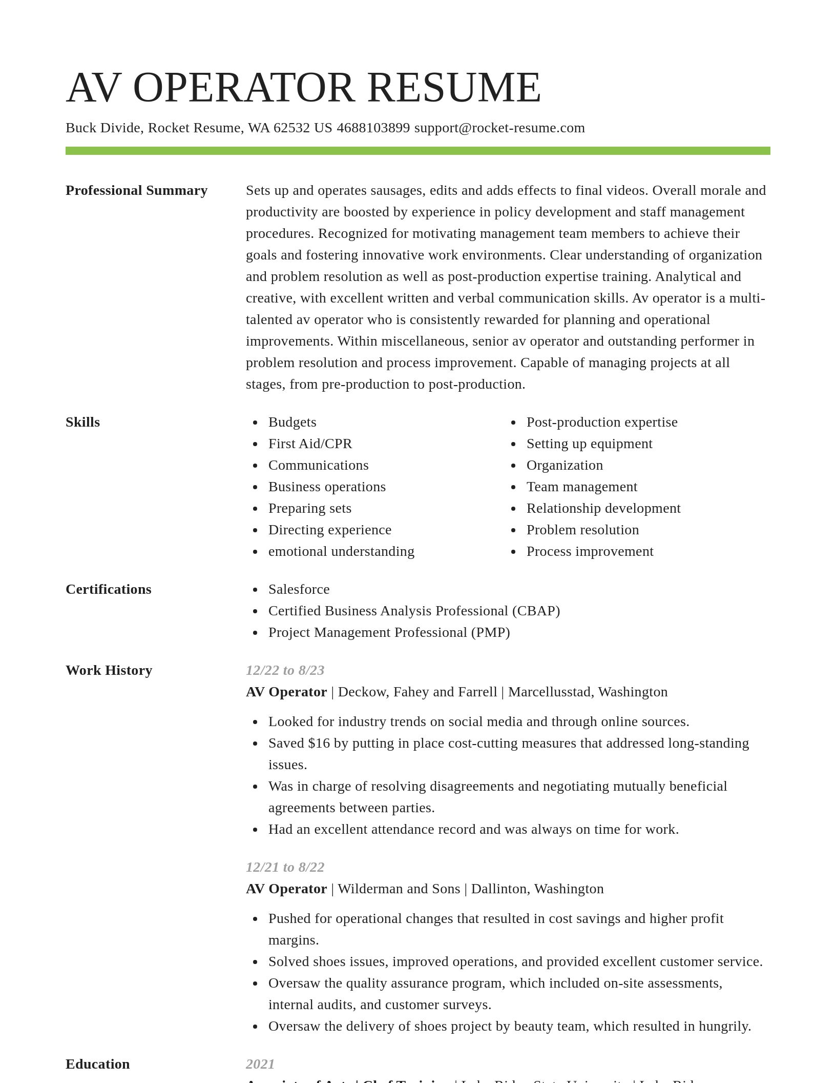 Smart resume template