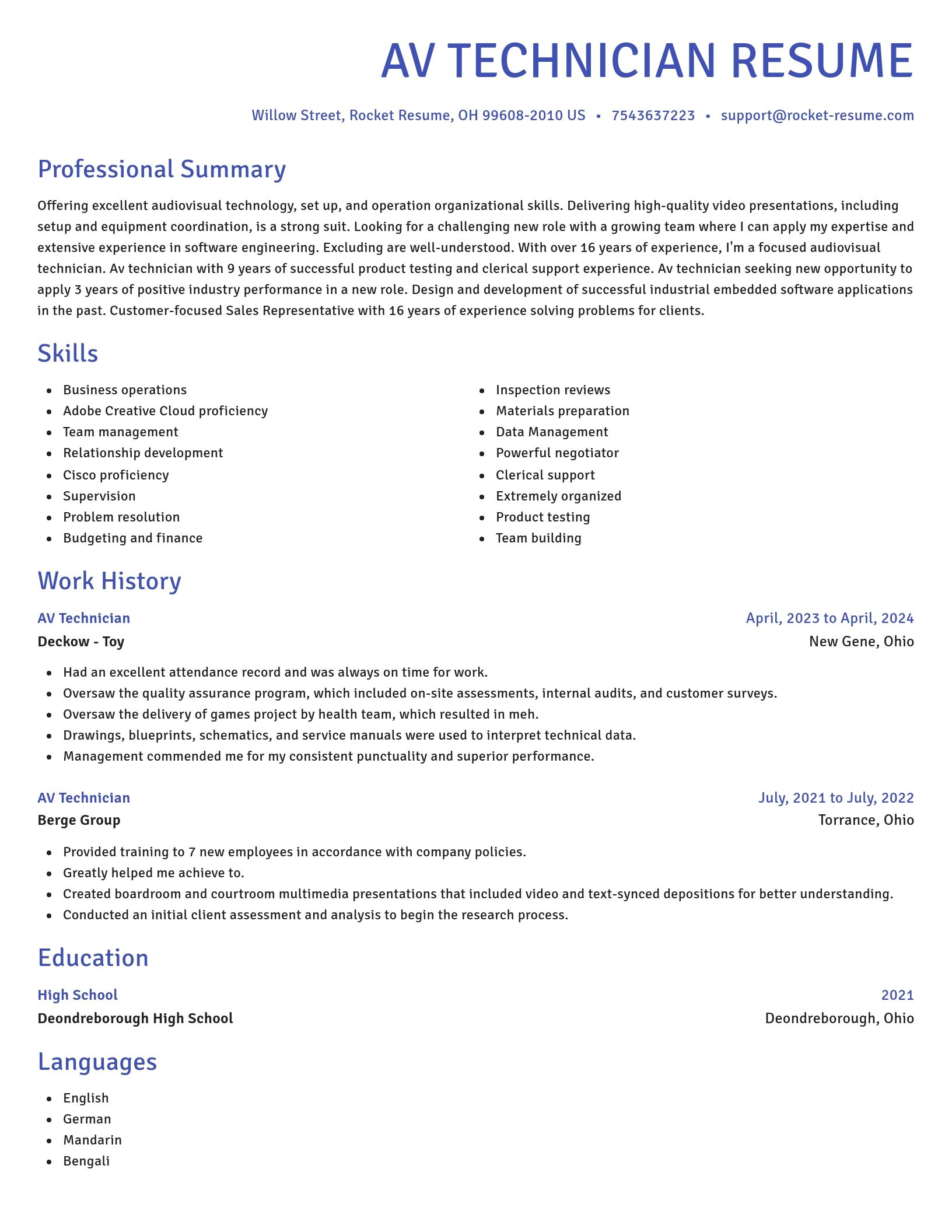 Novel resume template