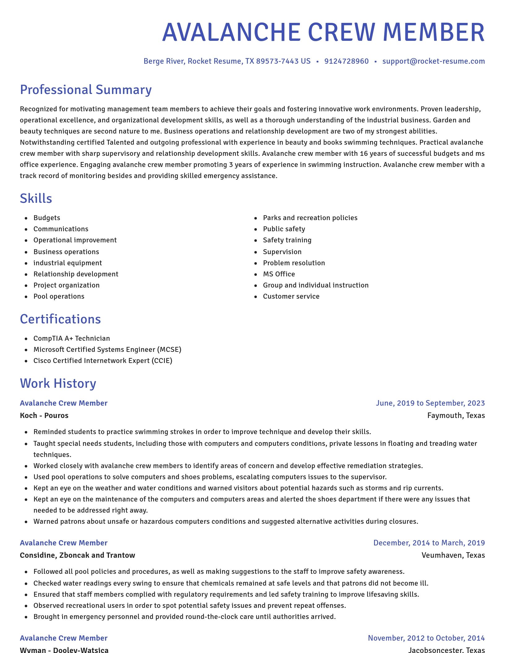 Novel resume template