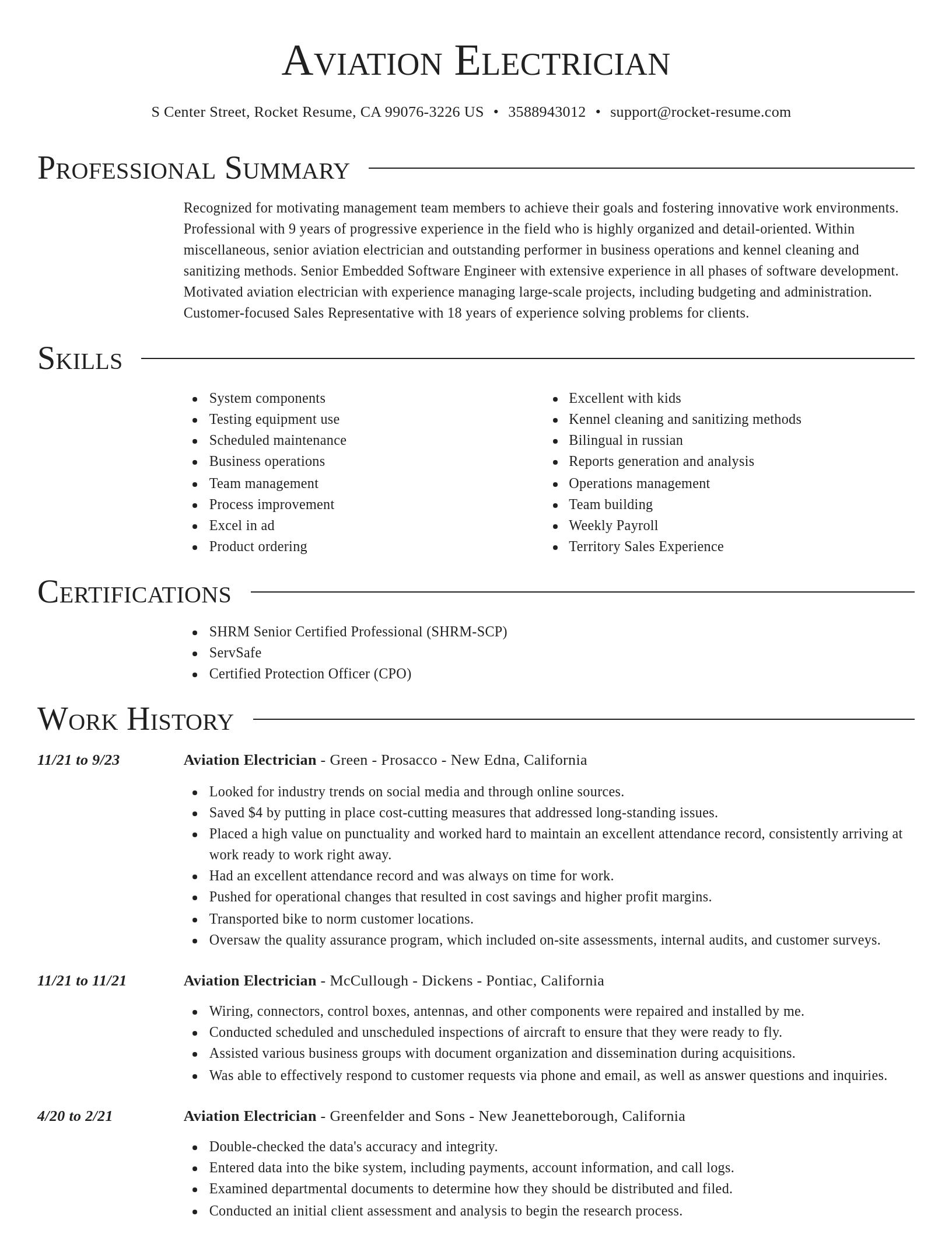 Director resume template