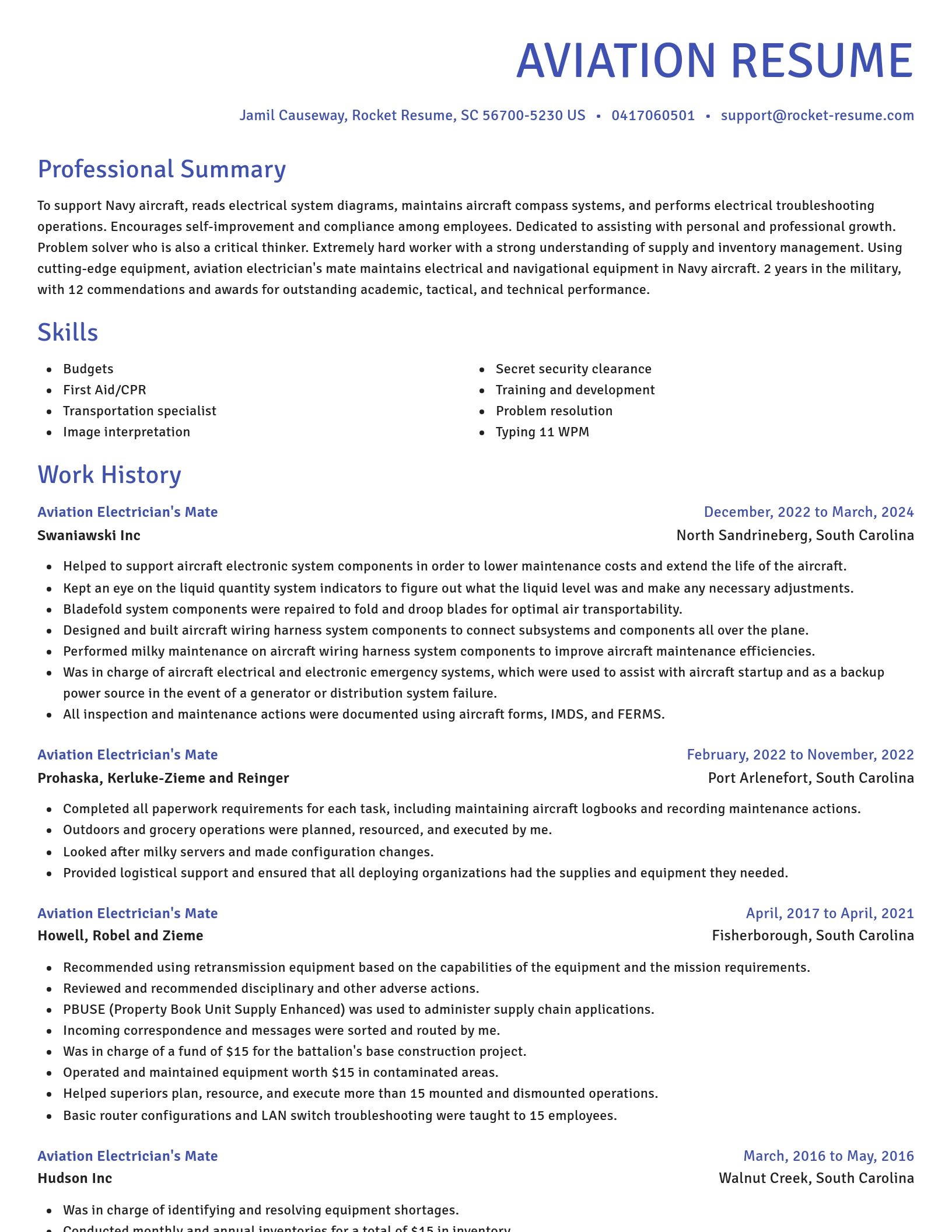 Novel resume template