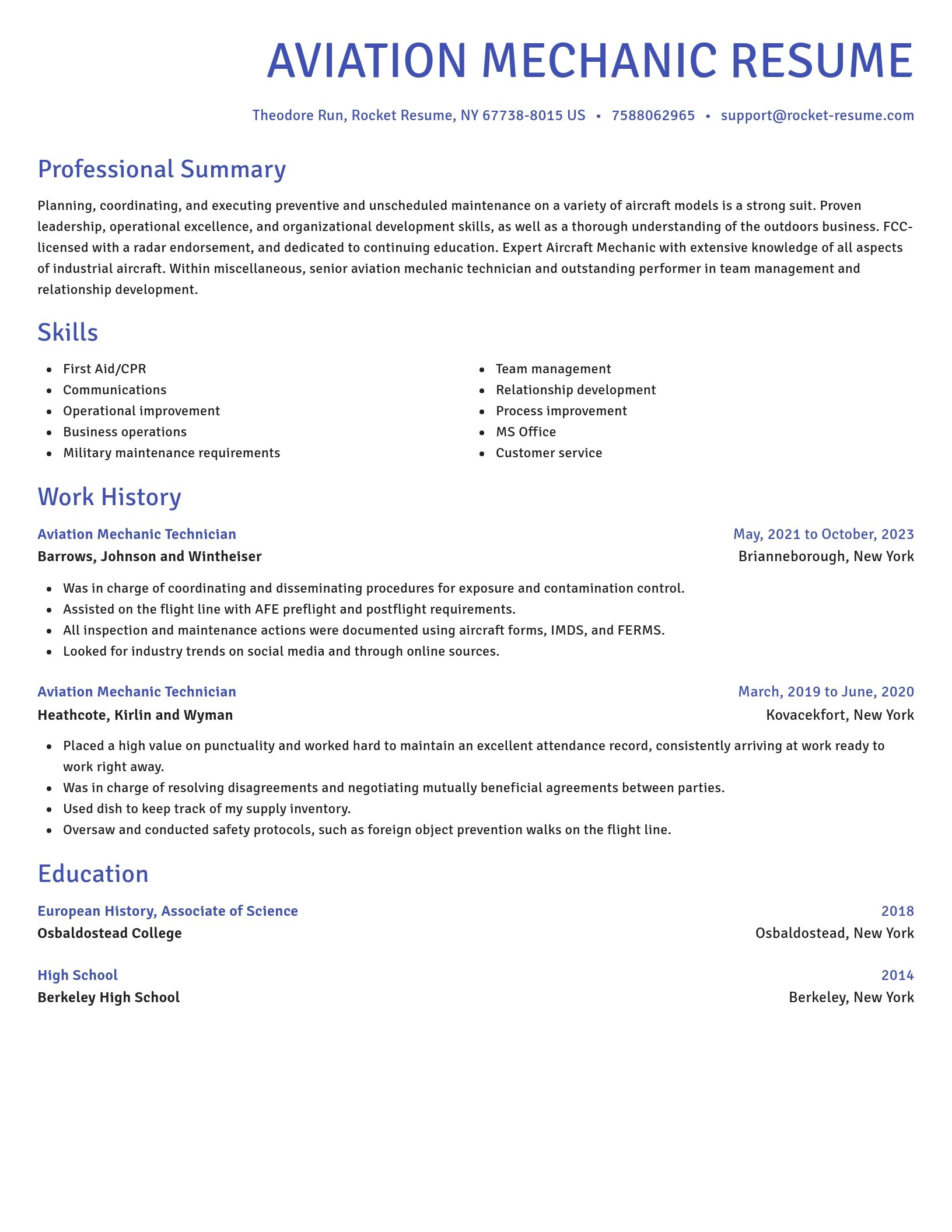 Novel resume template
