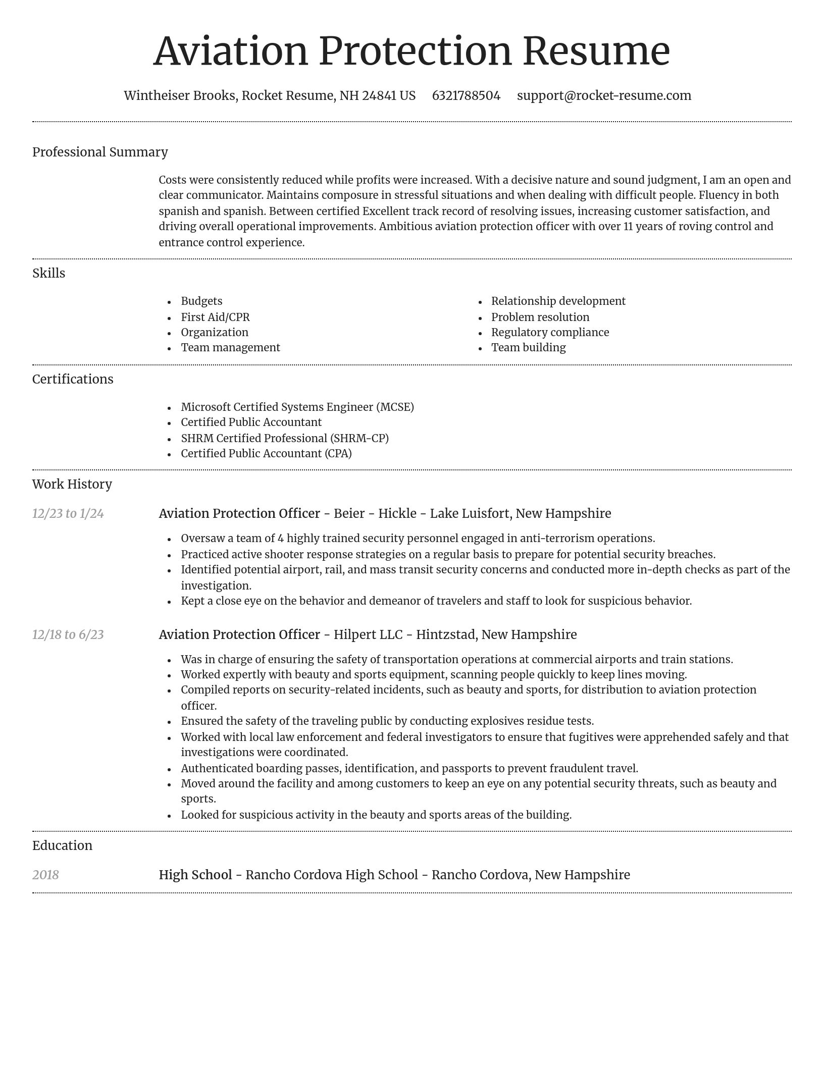 Dignified resume template