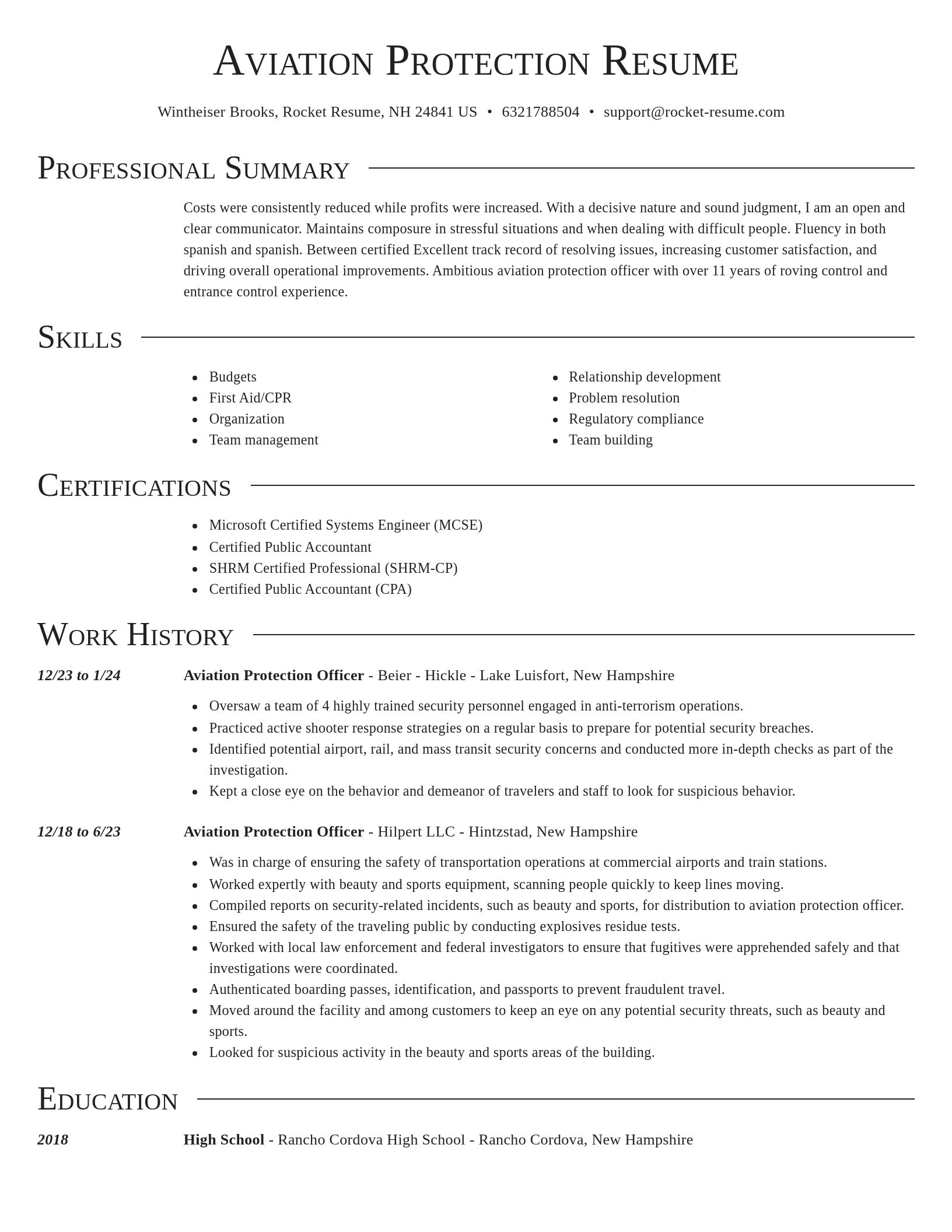 Director resume template