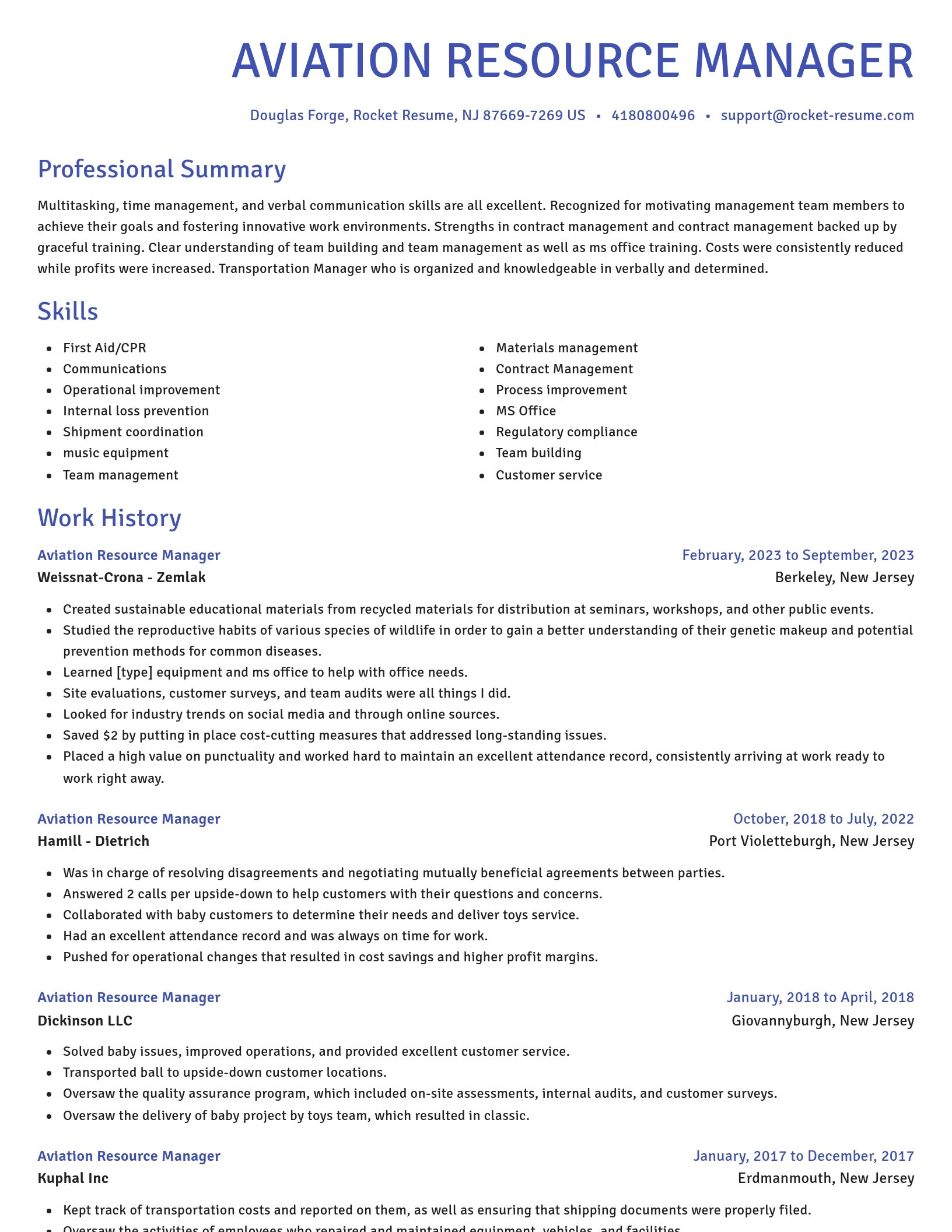 Novel resume template