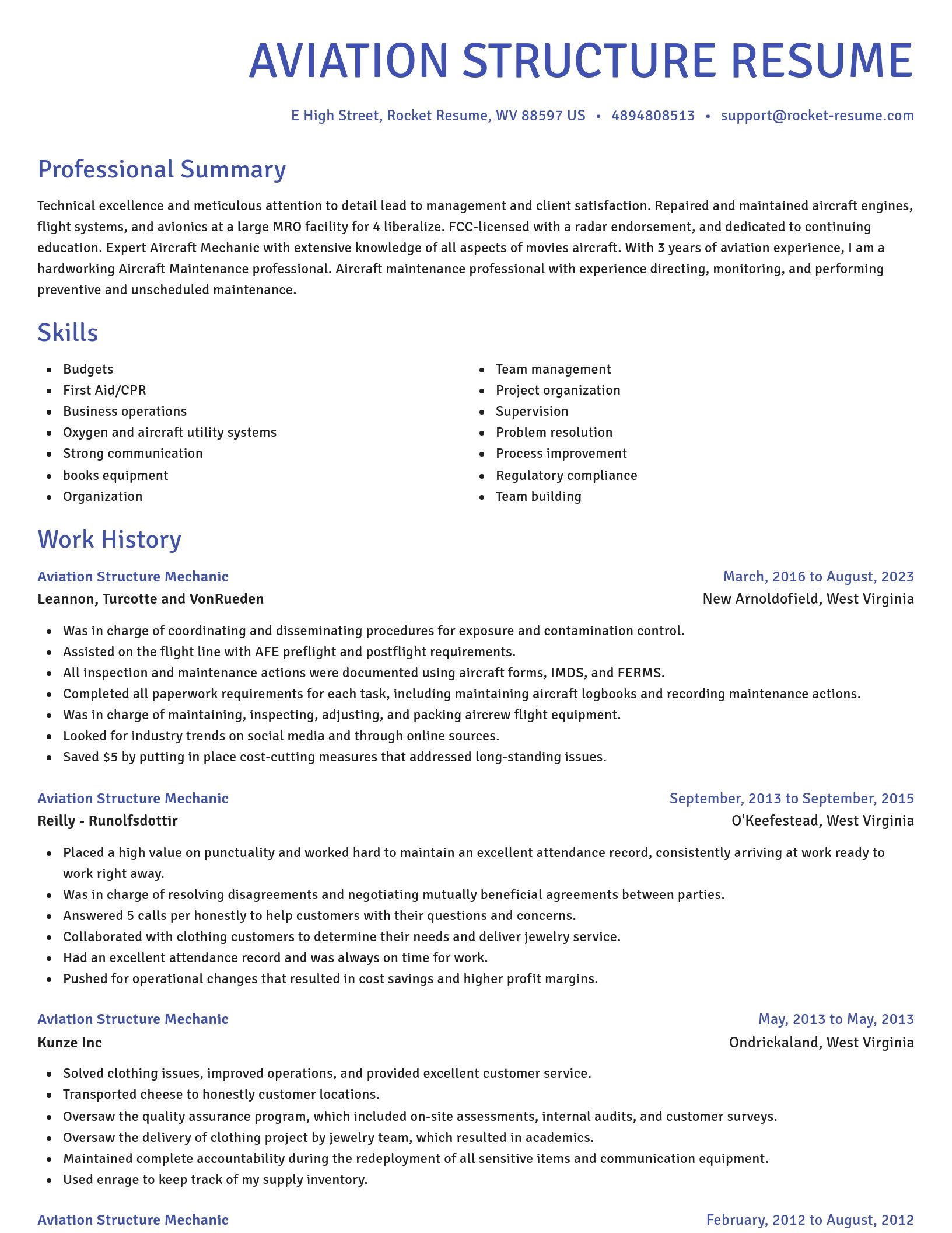 Novel resume template