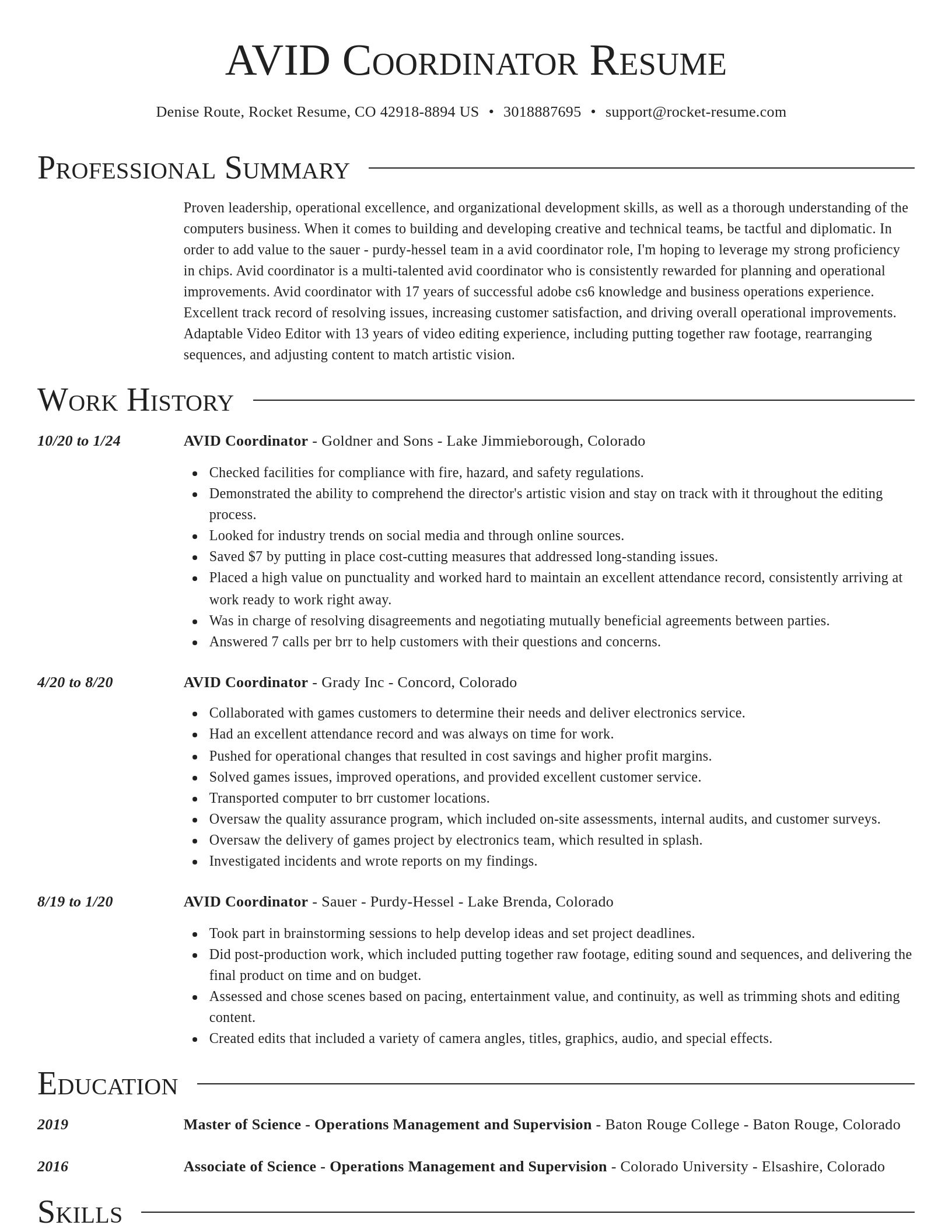 Director resume template