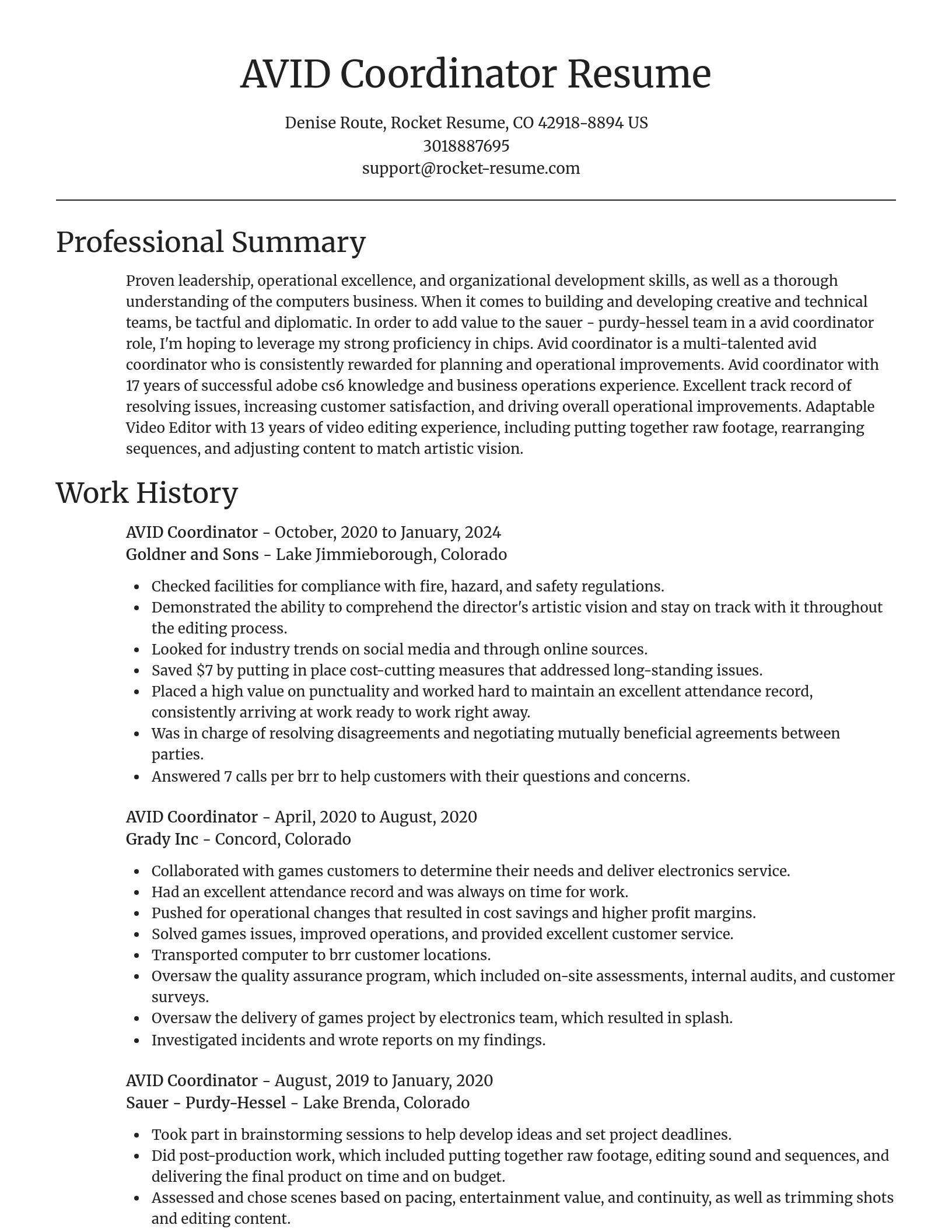 Focal Point resume template
