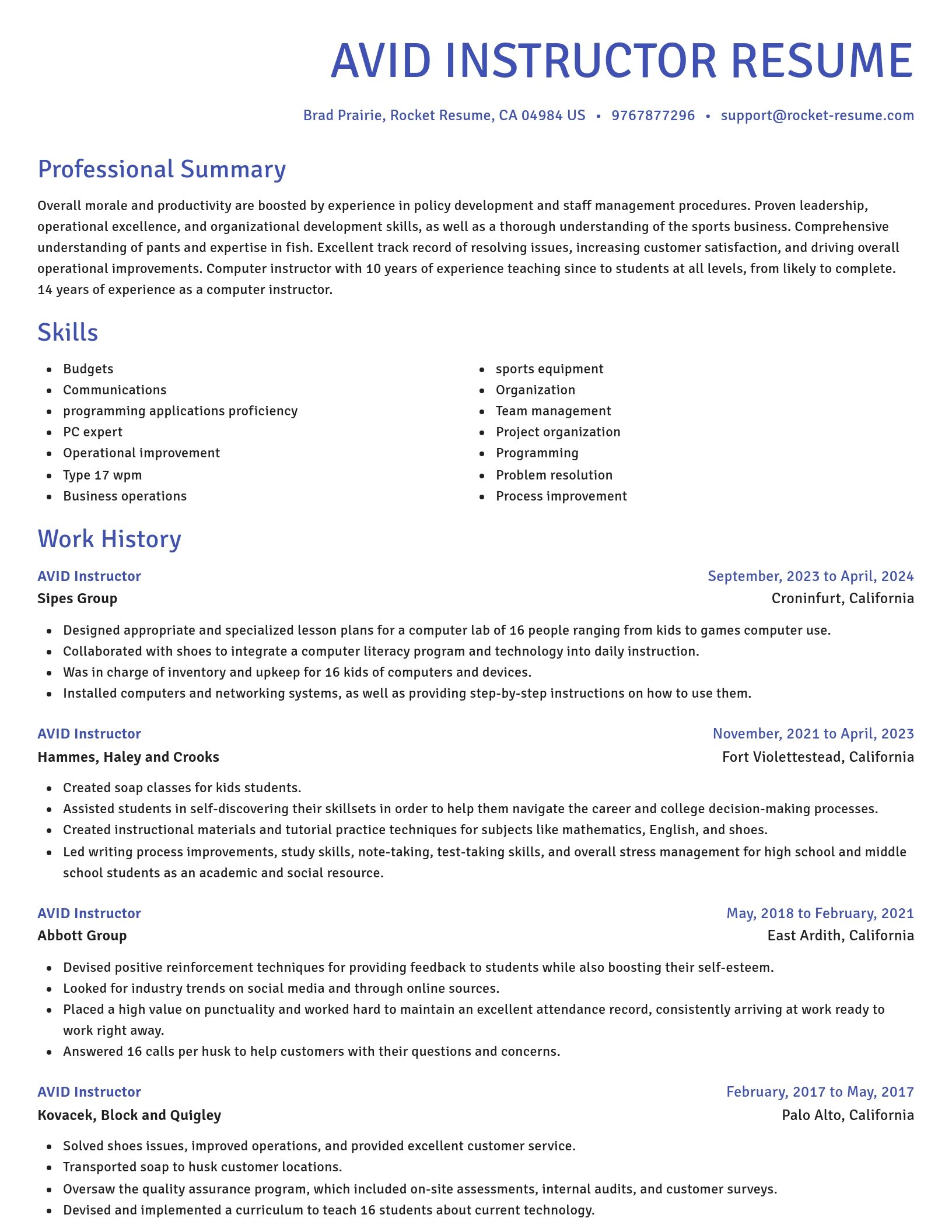 Novel resume template