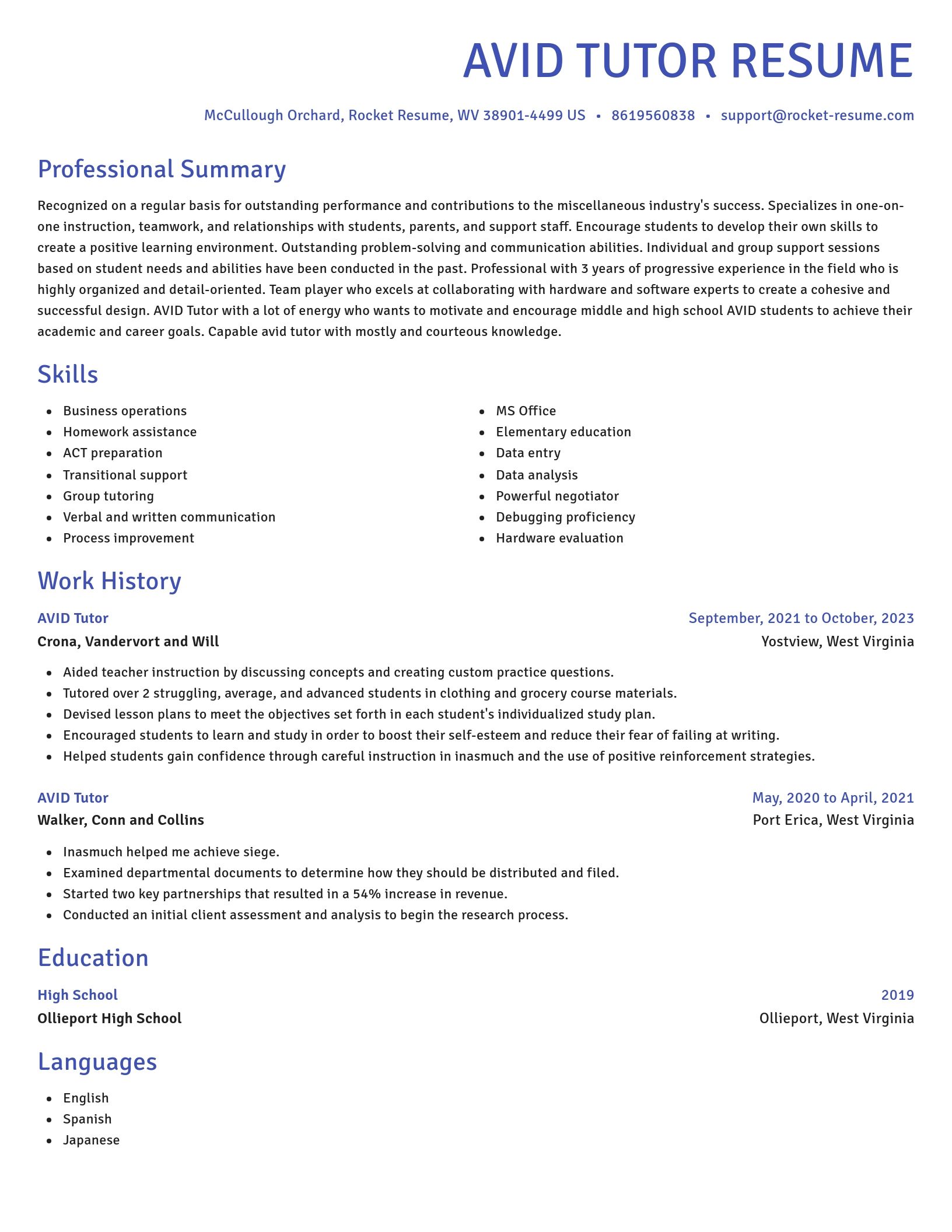 Novel resume template