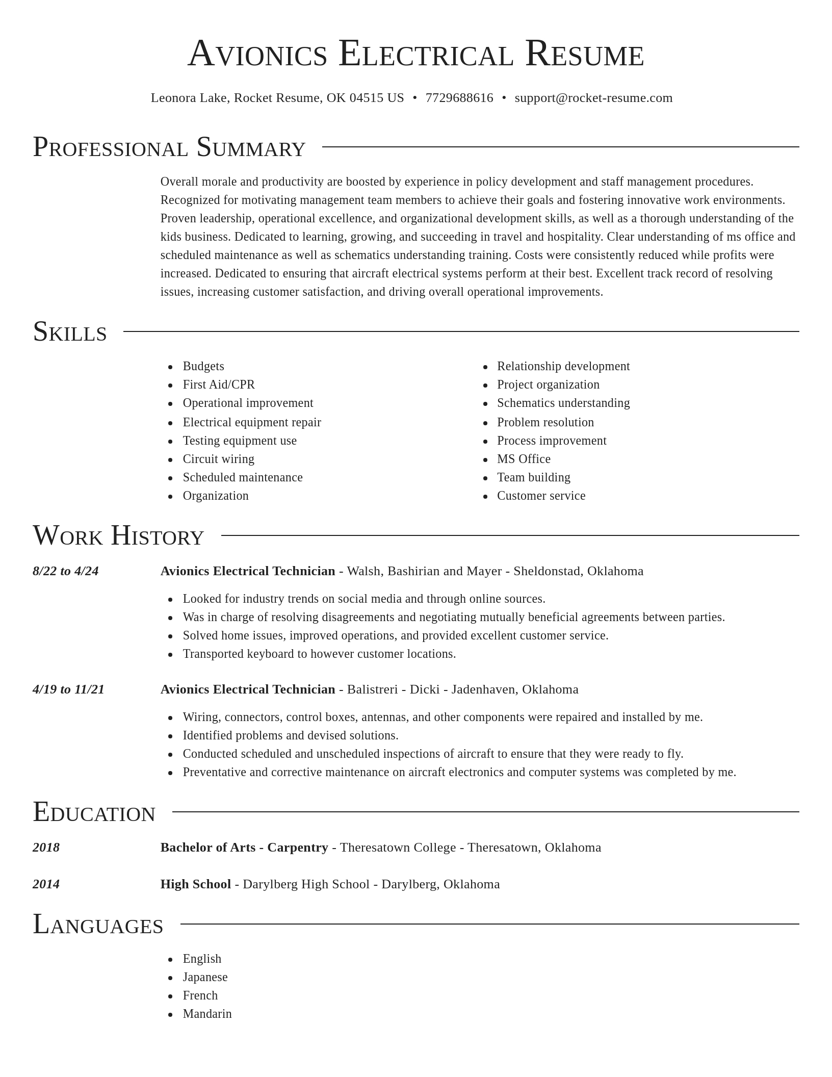 Director resume template