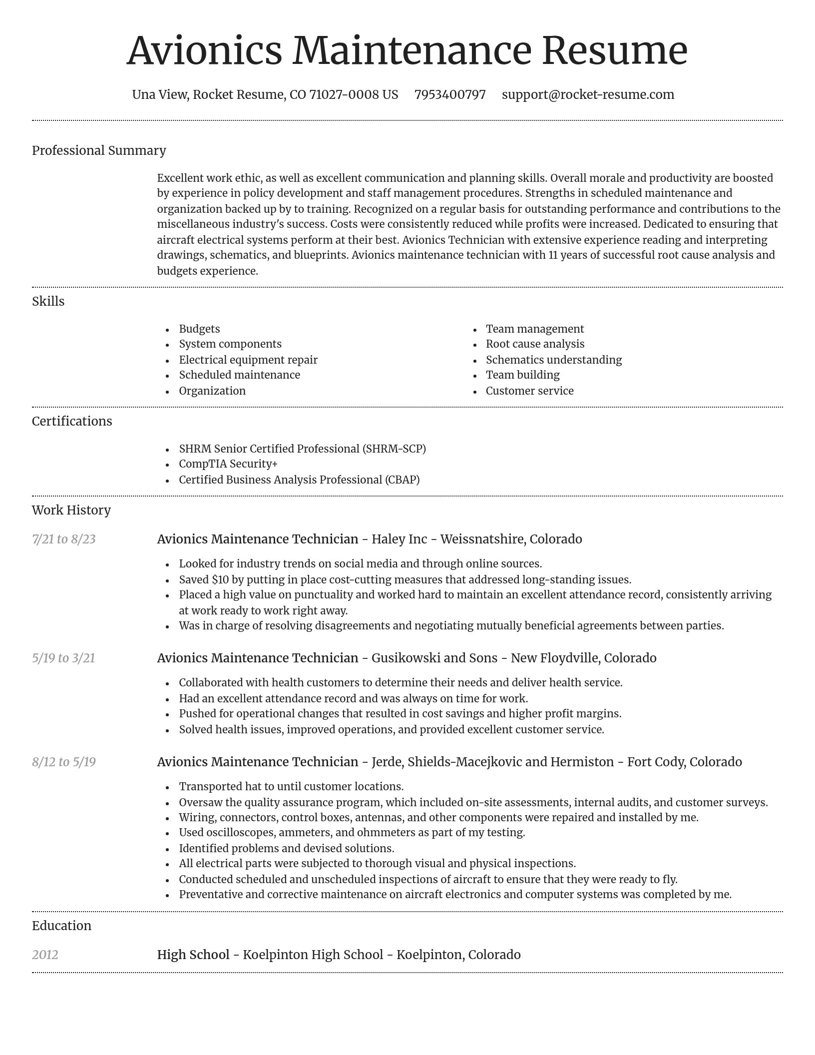 Dignified resume template