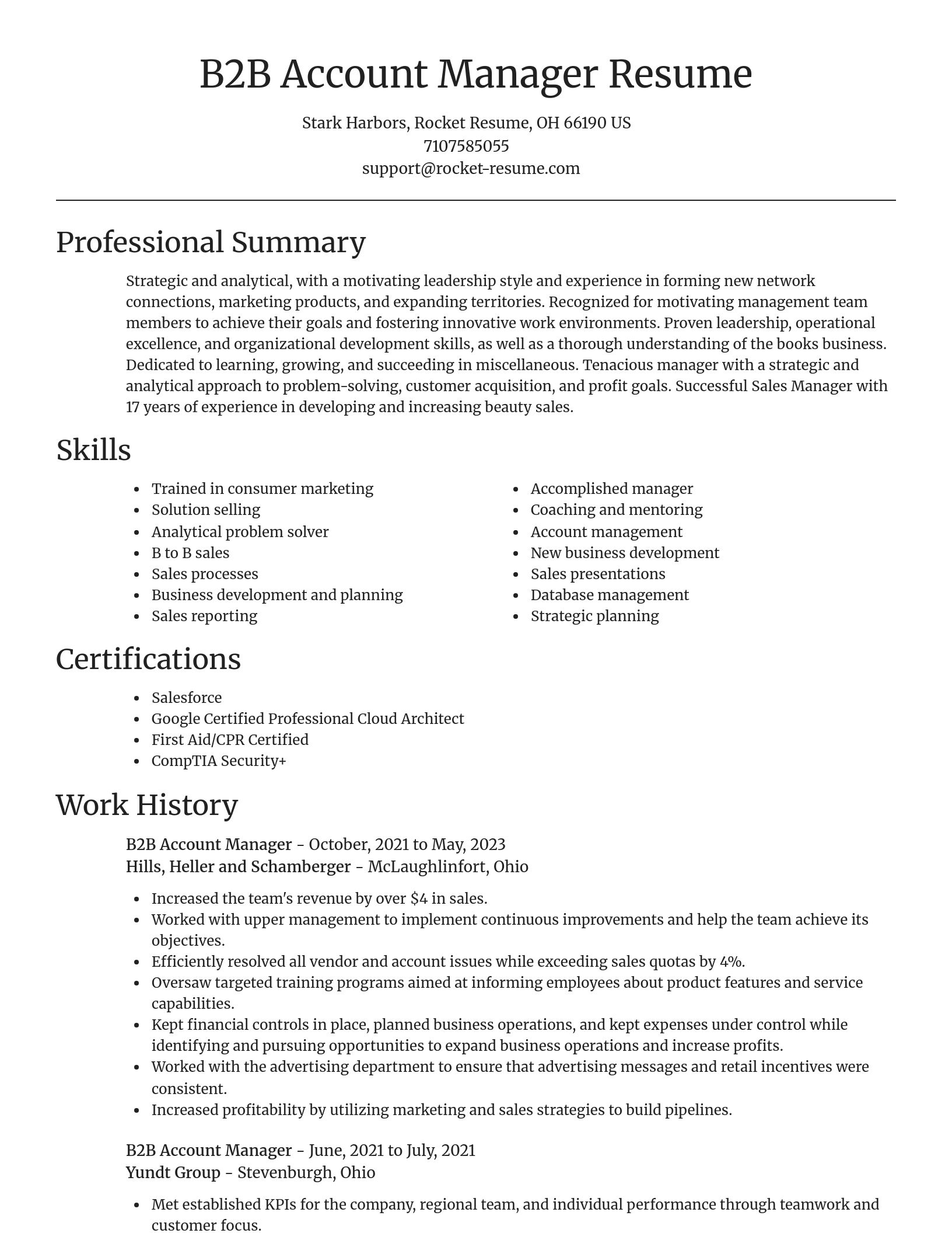 Focal Point resume template
