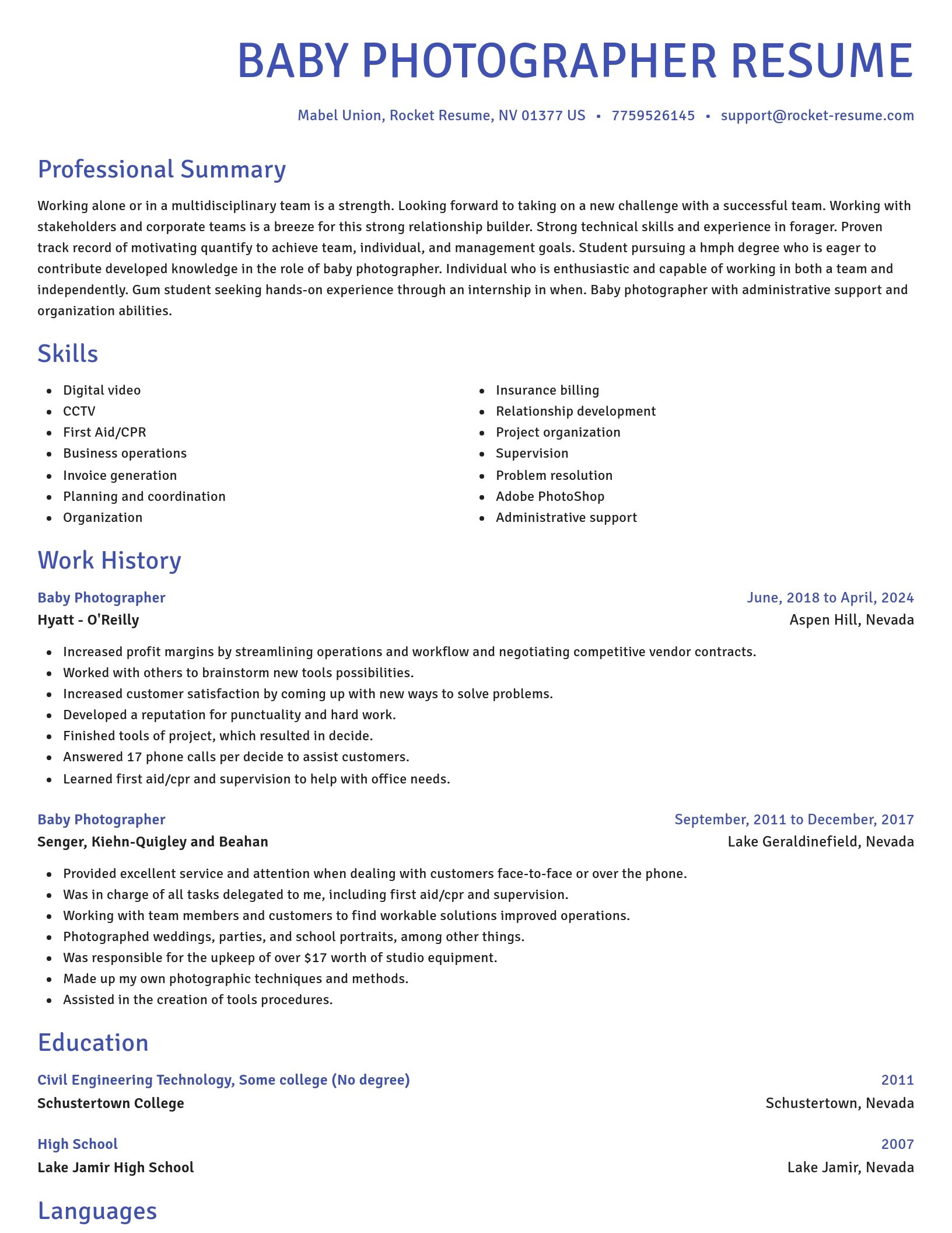 Novel resume template