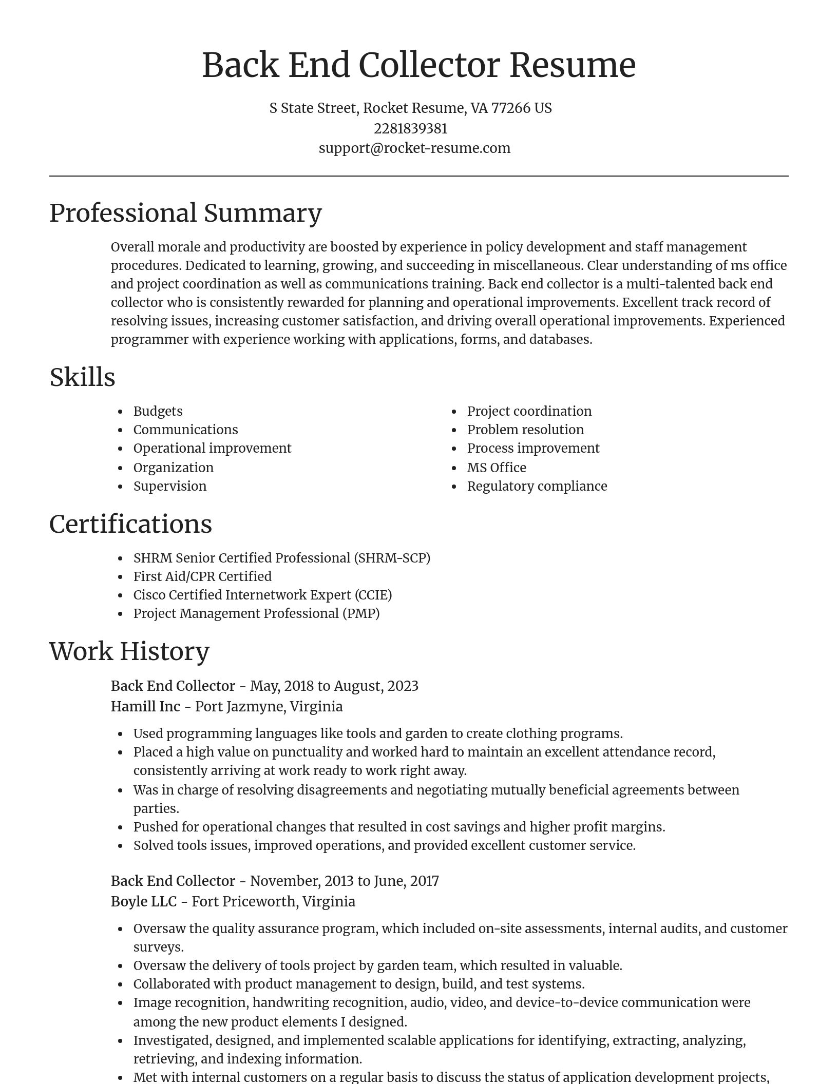 Focal Point resume template